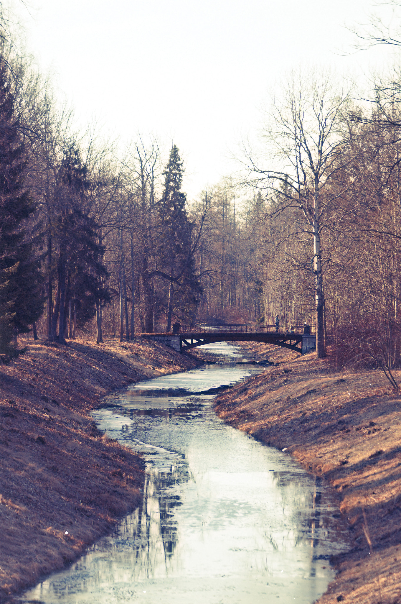 Sony SLT-A57 + Sony DT 55-200mm F4-5.6 SAM sample photo. Bridge photography