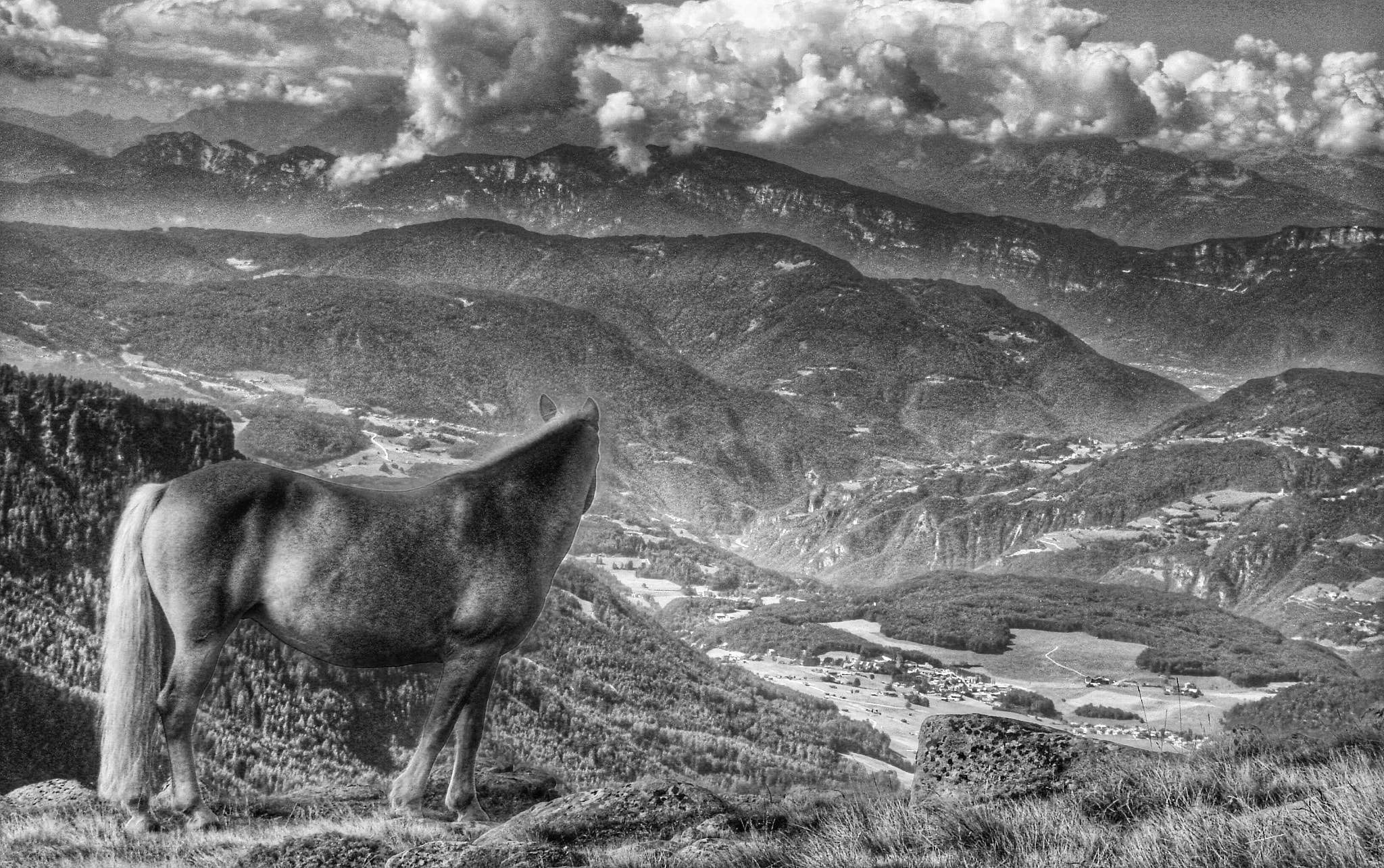 Sony DSC-N2 sample photo. Horse and landscape of the dolomites photography