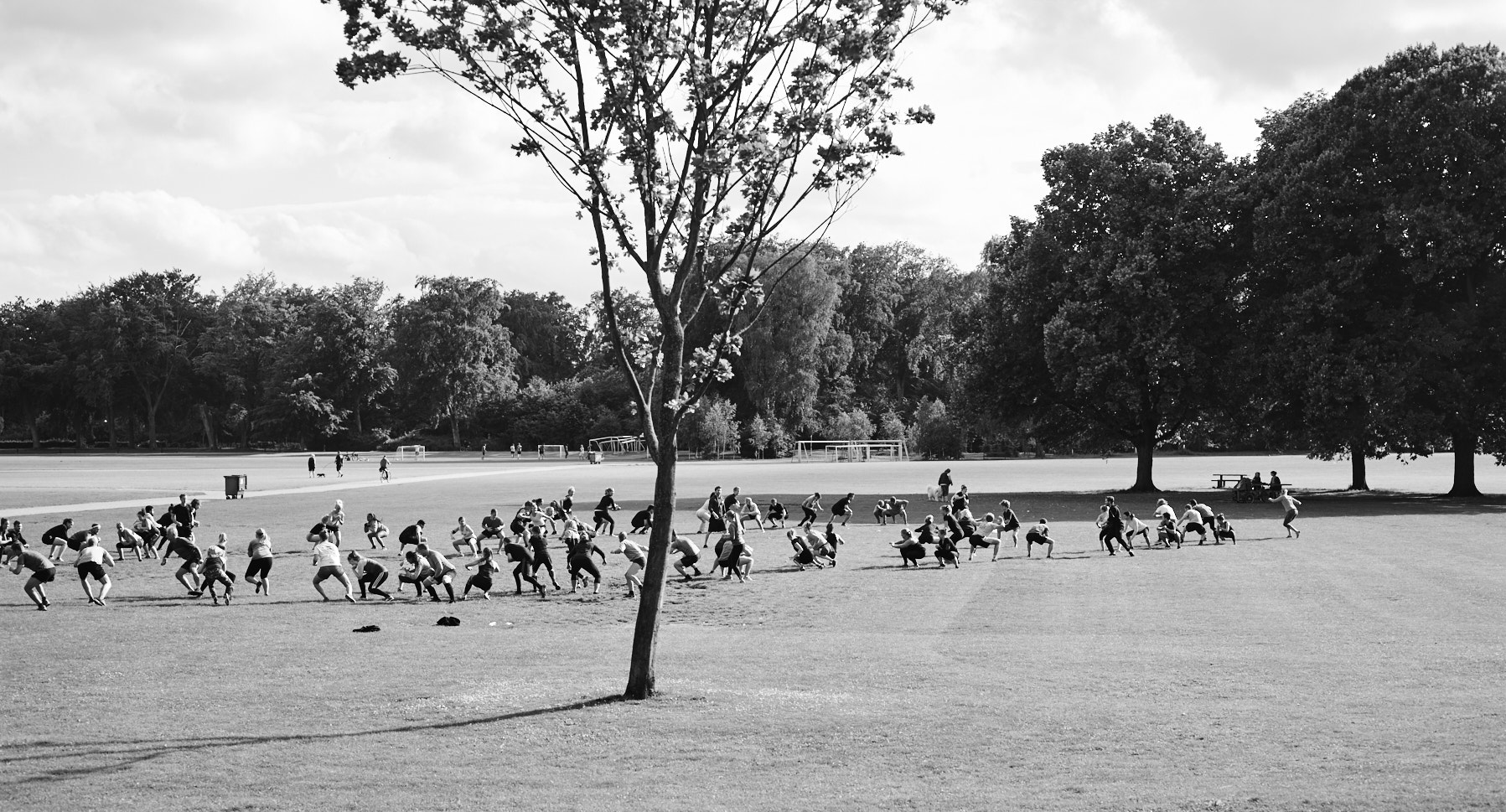 Phase One P65+ sample photo. Cf009100 7.jpg photography