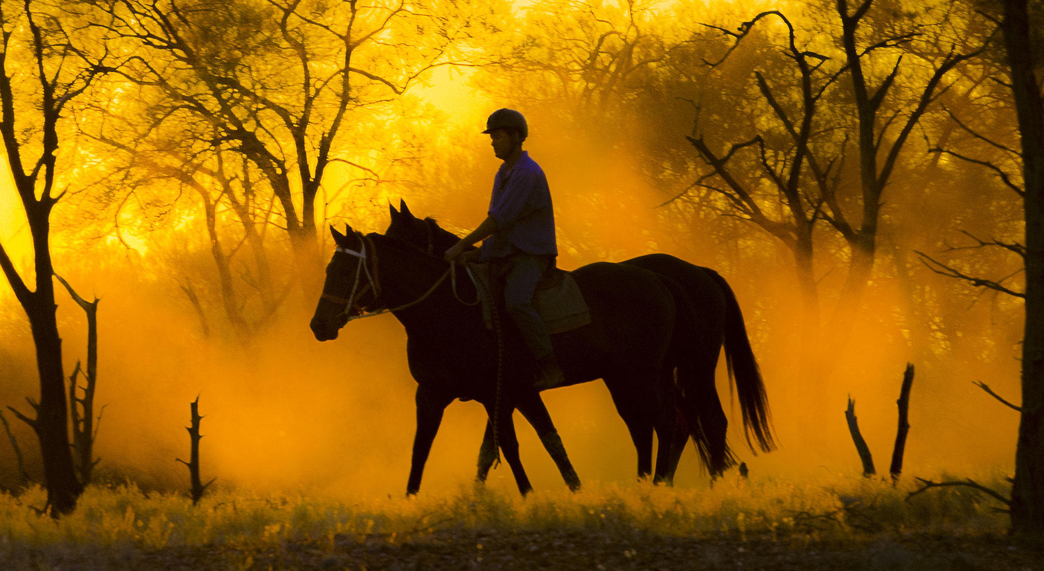 Nikon D4 sample photo. "he rode alone" photography