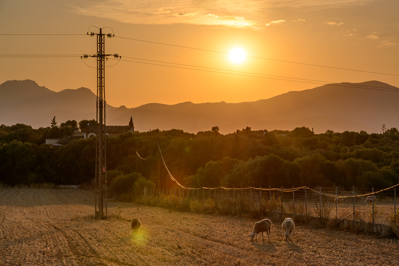 AF Zoom-Nikkor 28-105mm f/3.5-4.5D IF sample photo. Sunset in muro photography