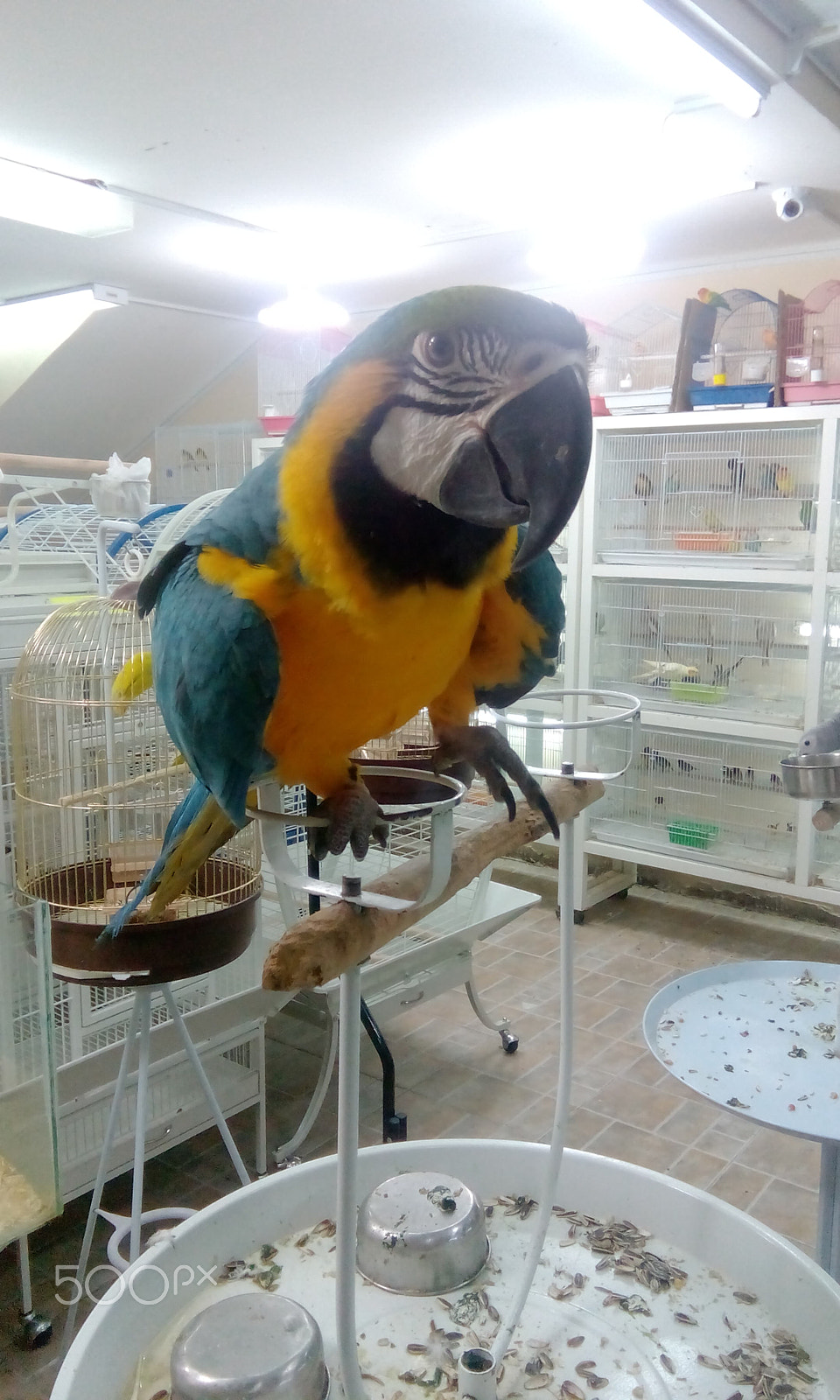 HTC DESIRE 526G+ DUAL SIM sample photo. Img_20150718_212245.jpg photography