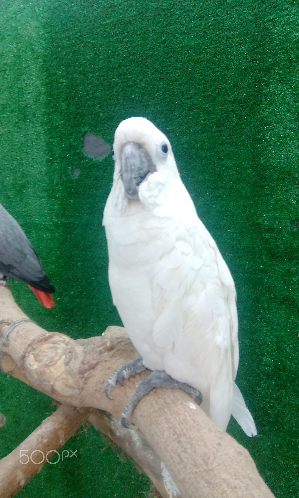 HTC DESIRE 526G+ DUAL SIM sample photo. Img_20150718_213451.jpg photography