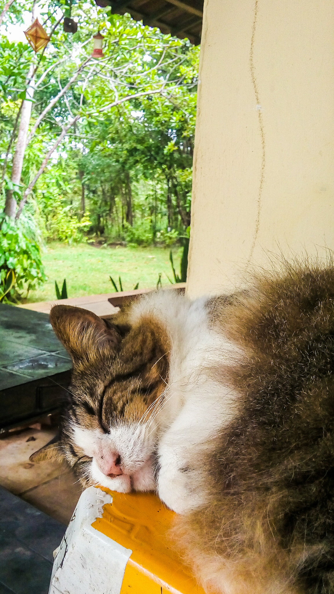 LG L Bello sample photo