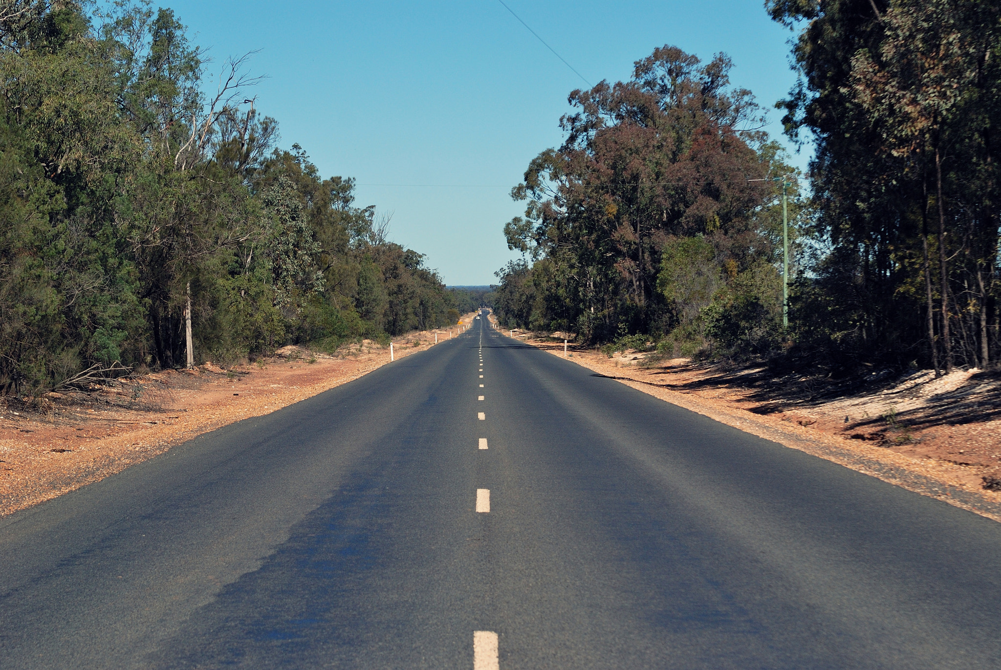 Nikon D80 sample photo. Trip around queensland photography