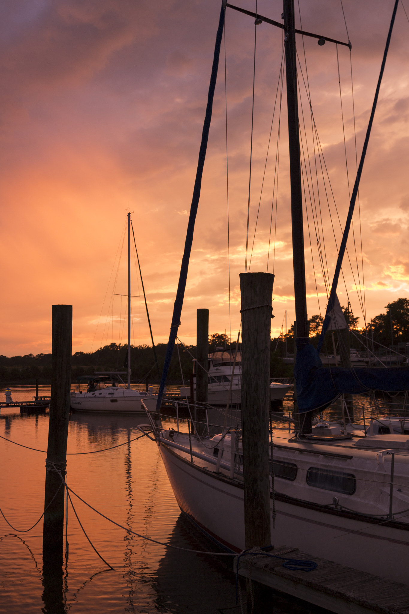 Canon EOS 650D (EOS Rebel T4i / EOS Kiss X6i) sample photo. Cole's point sunset photography