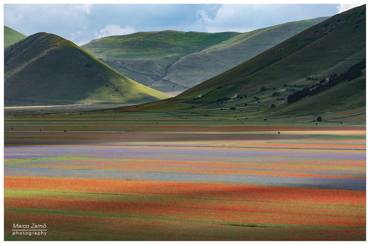 Nikon D500 + Sigma 50-100mm F1.8 DC HSM Art sample photo. Castelluccio photography