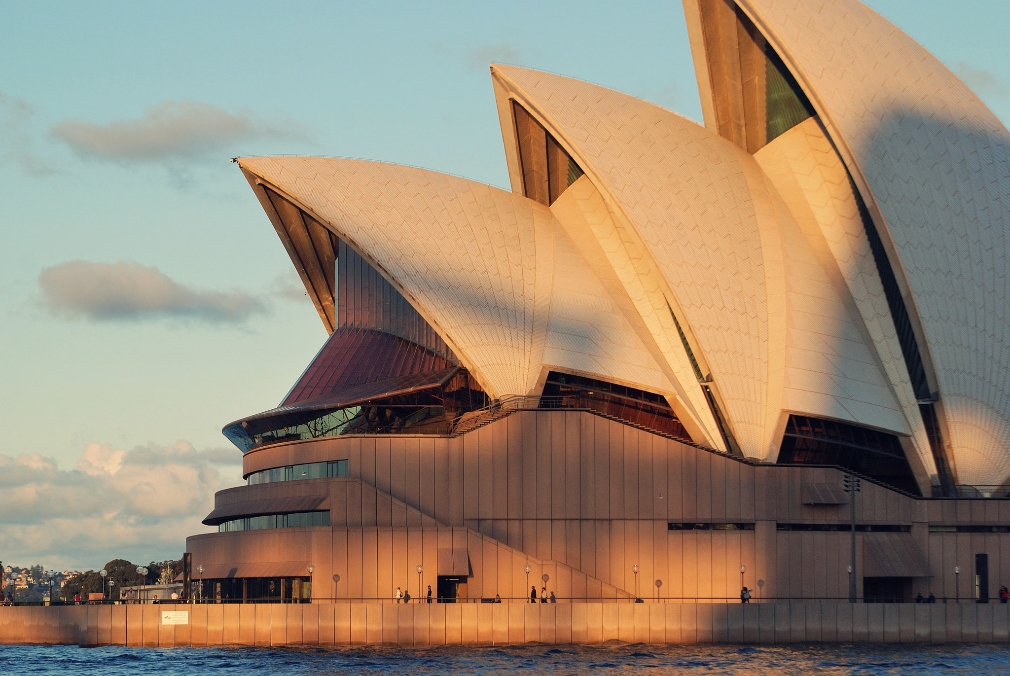 Nikon D80 sample photo. Sydney () photography