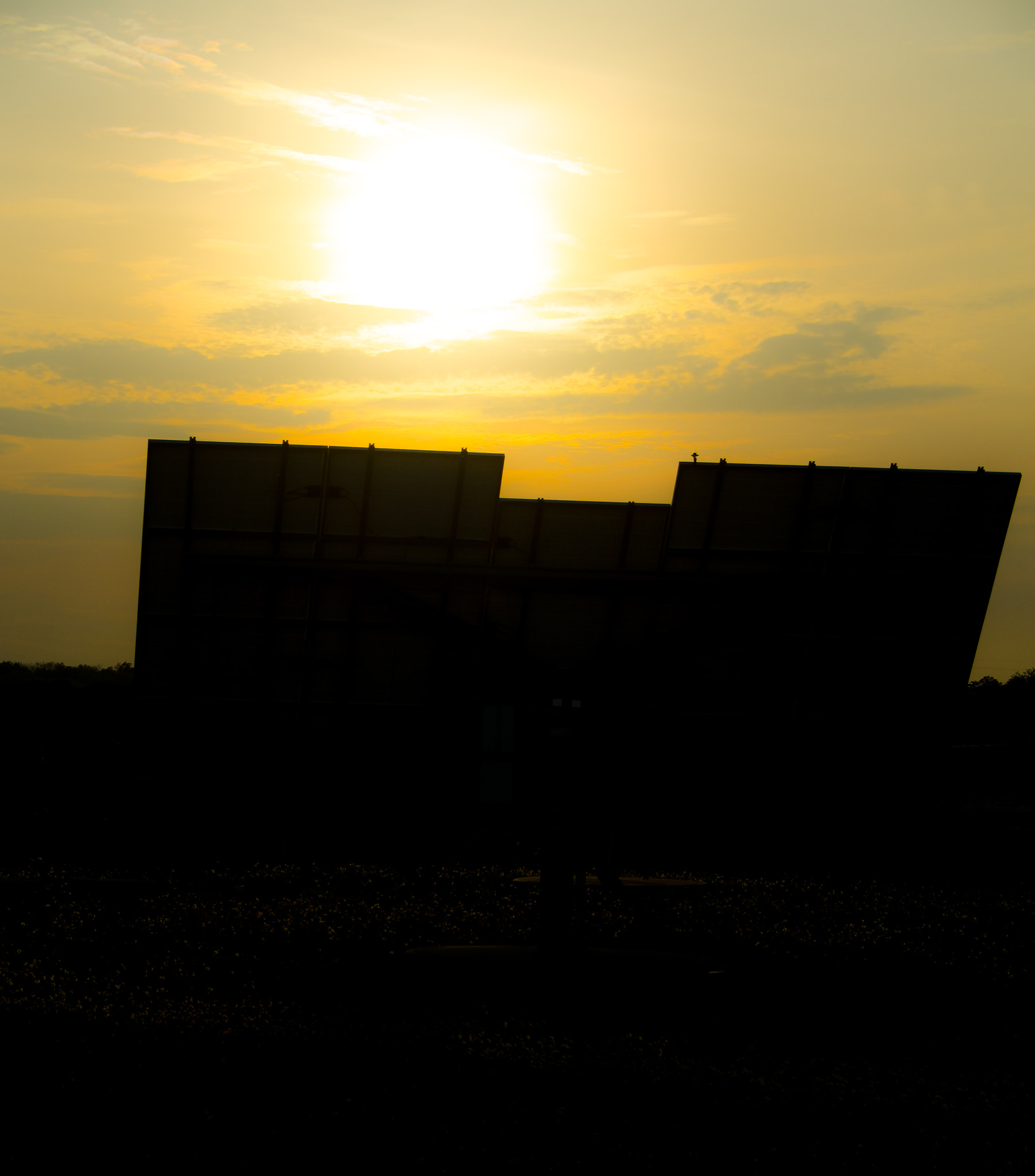 Sigma 18-200mm F3.5-6.3 DC OS HSM sample photo. Silhouetted, catching the evening sun photography