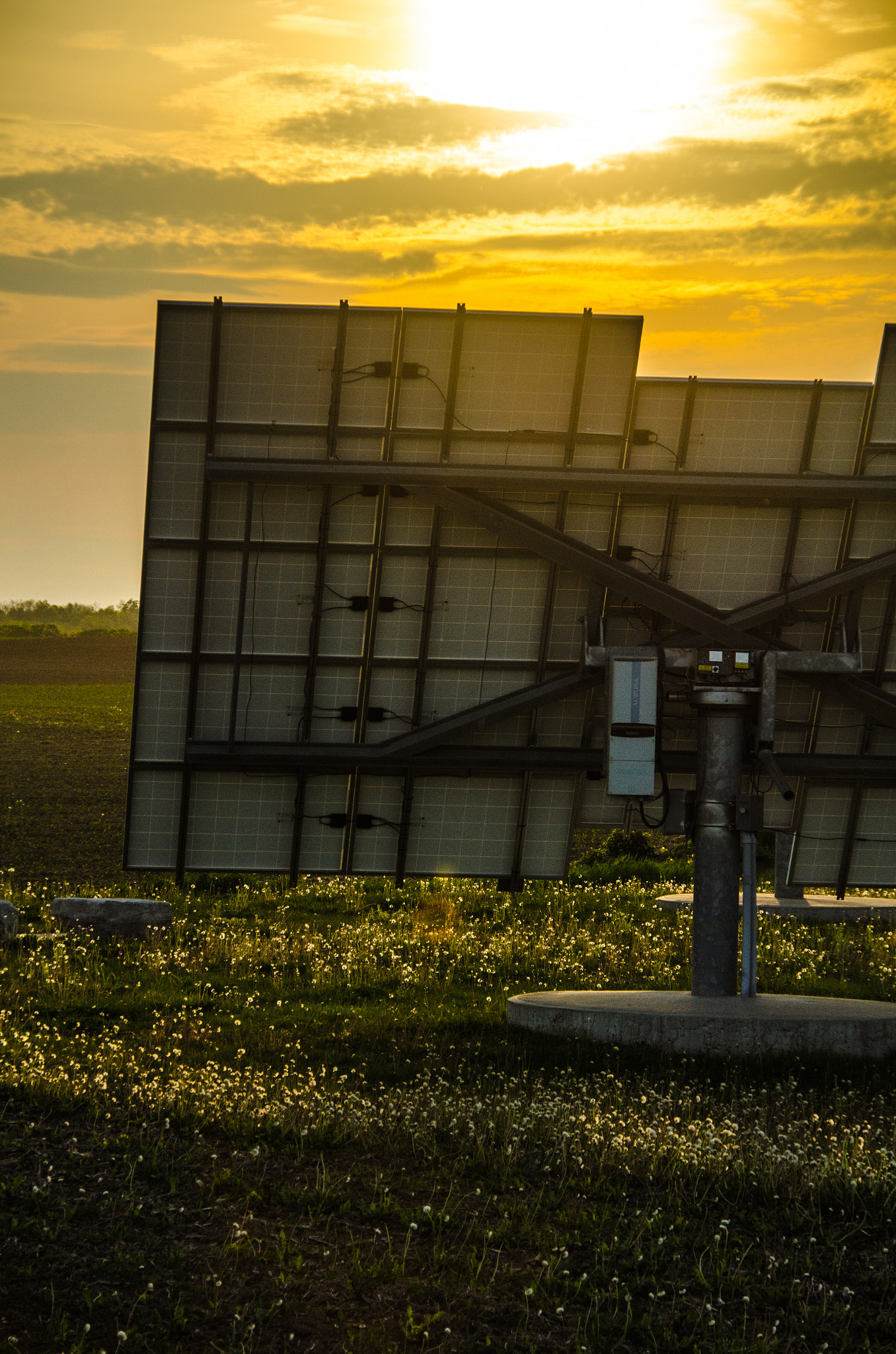 Sigma 18-200mm F3.5-6.3 DC OS HSM sample photo. Catching the evening sun photography