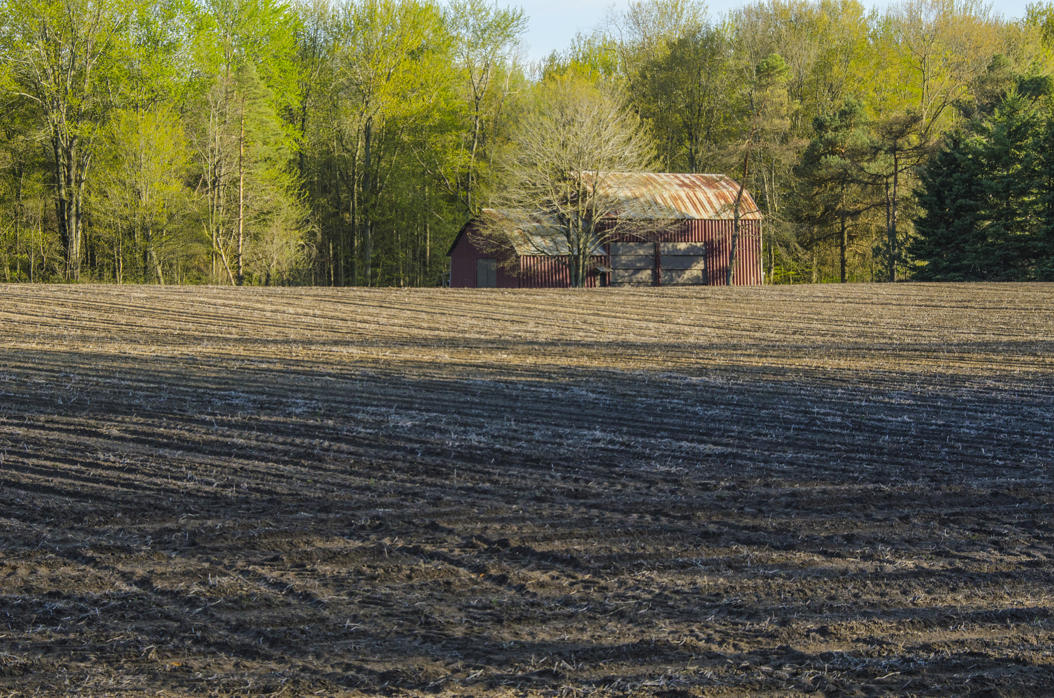 Sigma 18-200mm F3.5-6.3 DC OS HSM sample photo. Evening in the fields photography