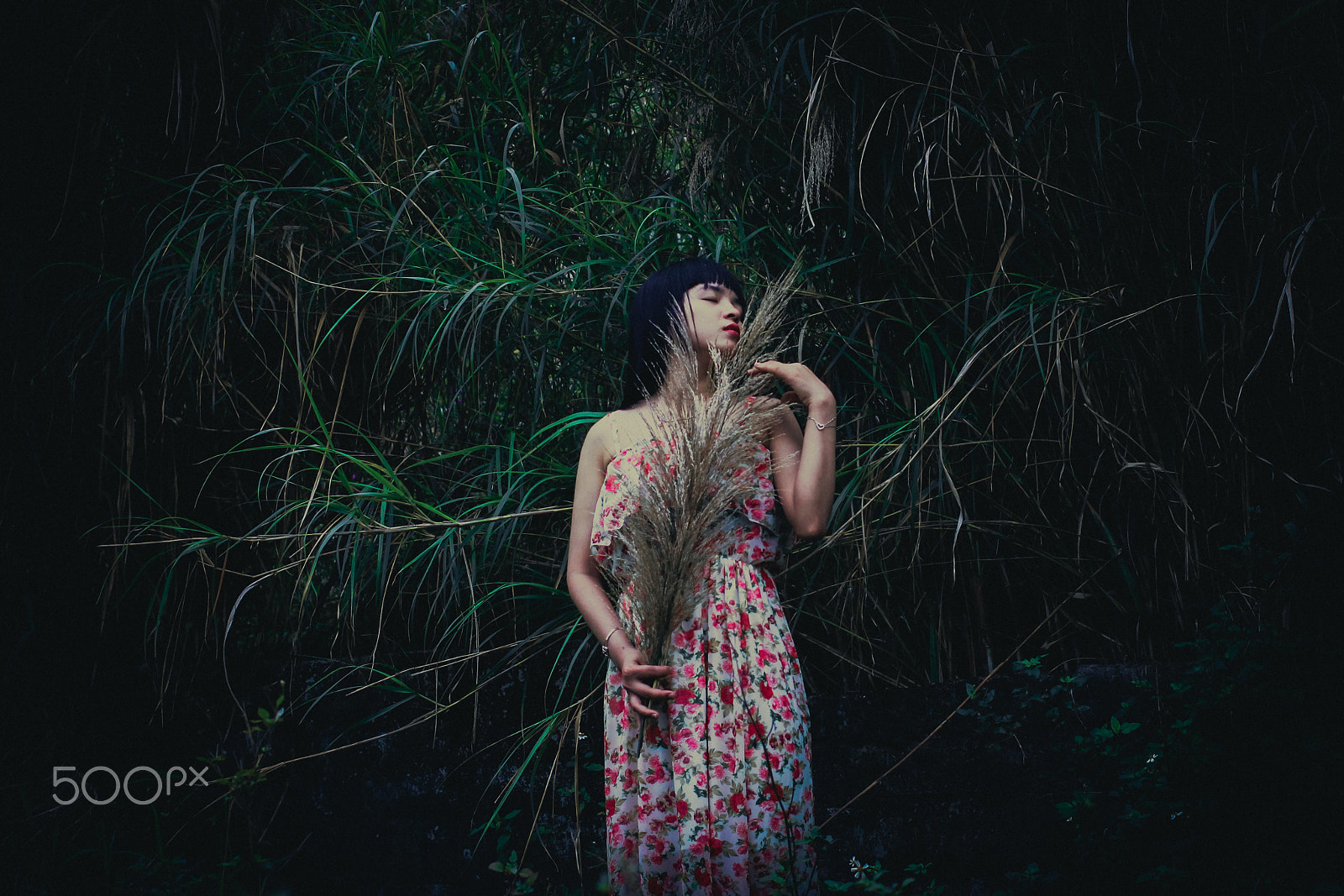 Canon EOS 50D + Canon EF 40mm F2.8 STM sample photo. Dreaming photography