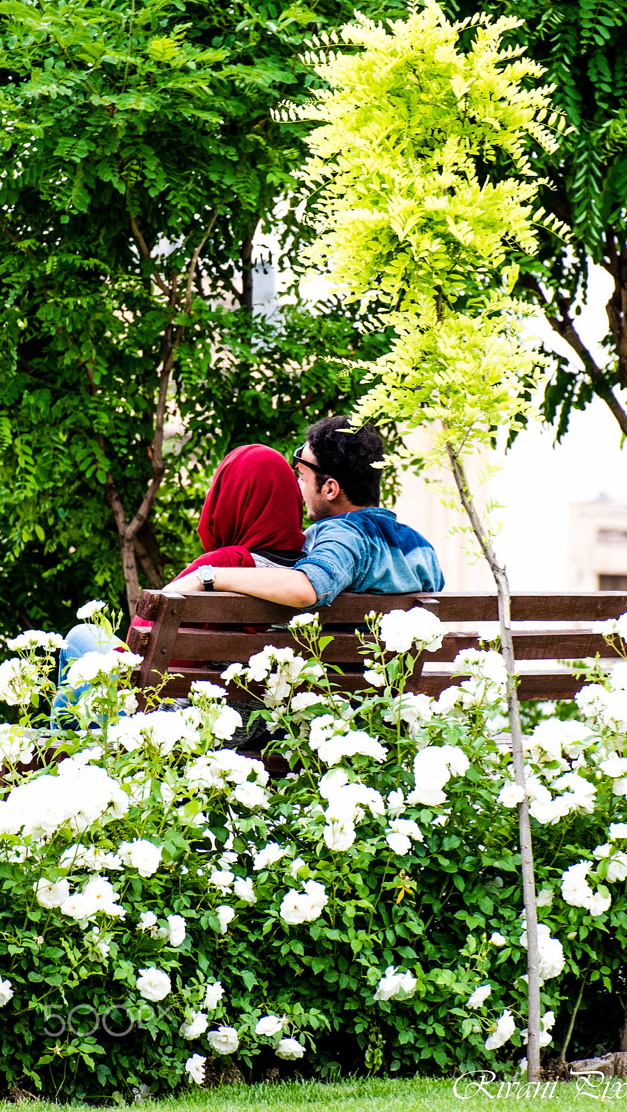 Fujifilm X-E1 + Fujifilm XC 50-230mm F4.5-6.7 OIS sample photo. First dates ... photography