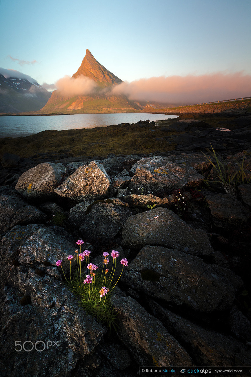 Canon EOS 5DS sample photo. Midnight sun photography