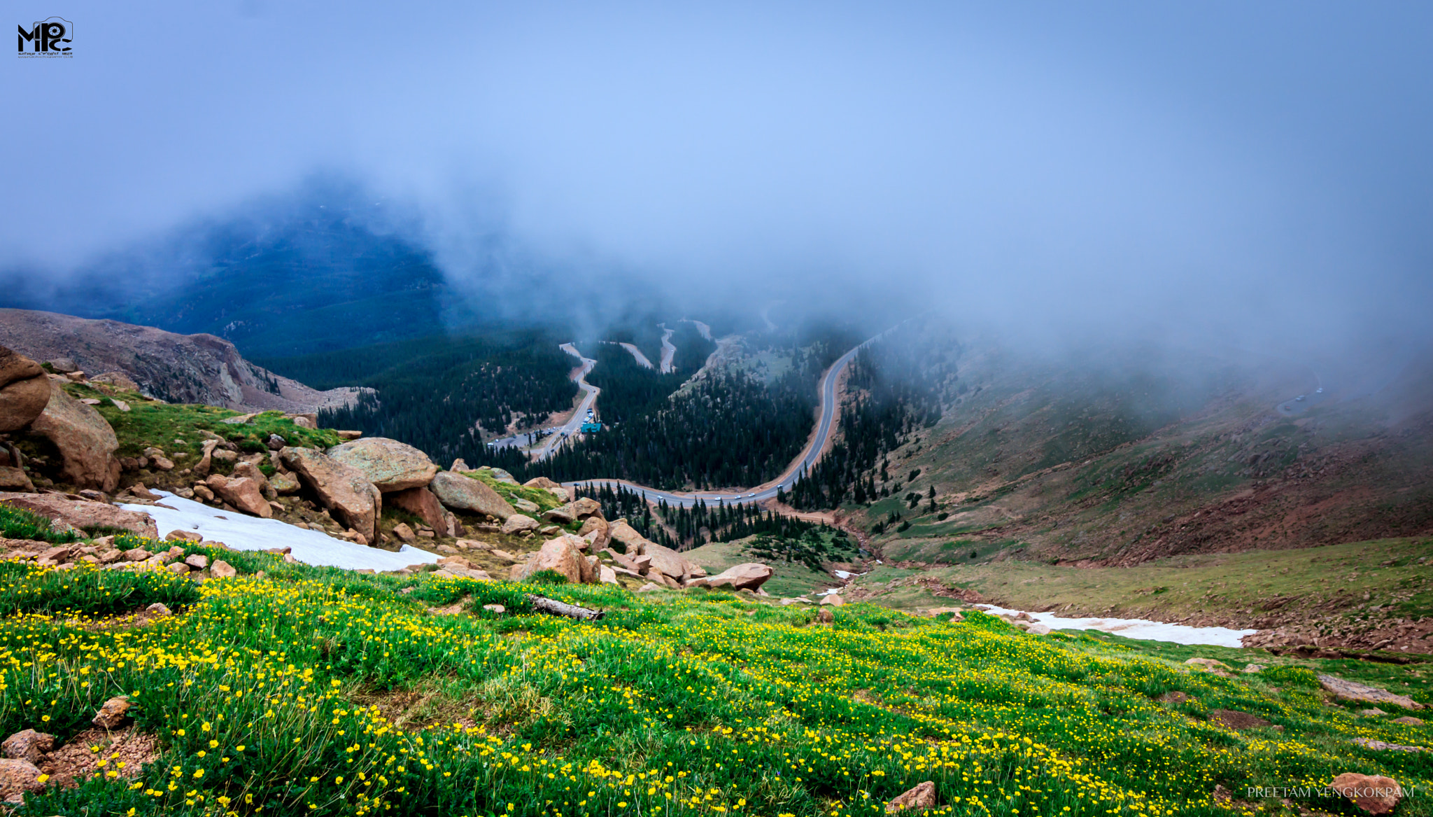 Canon EOS 750D (EOS Rebel T6i / EOS Kiss X8i) sample photo. Wild flowers on foggy mountain photography