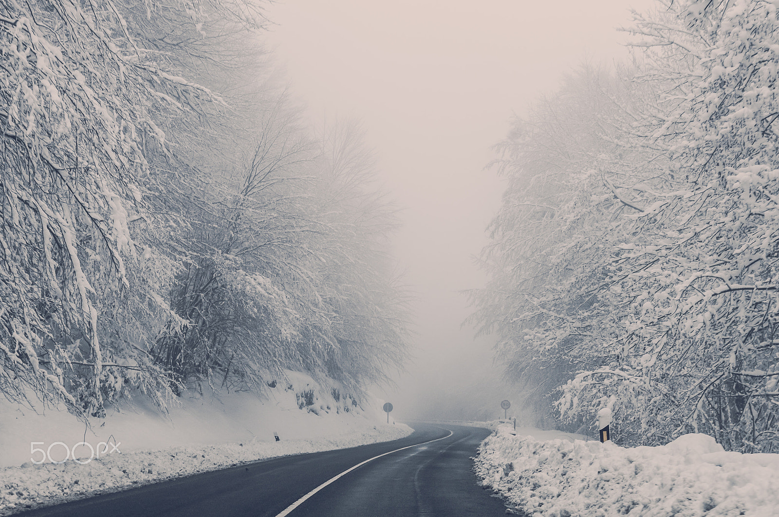 Nikon D90 + Tamron SP 24-70mm F2.8 Di VC USD sample photo. Rural road in winter. trees covered by the snow and fog photography