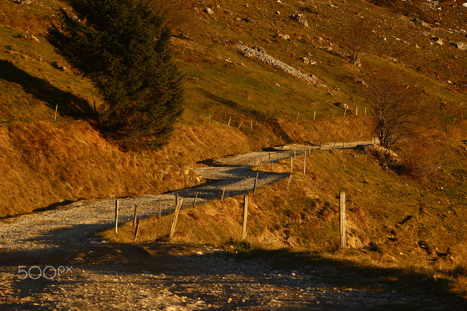 Canon EF 90-300mm F4.5-5.6 sample photo. Autumn path photography