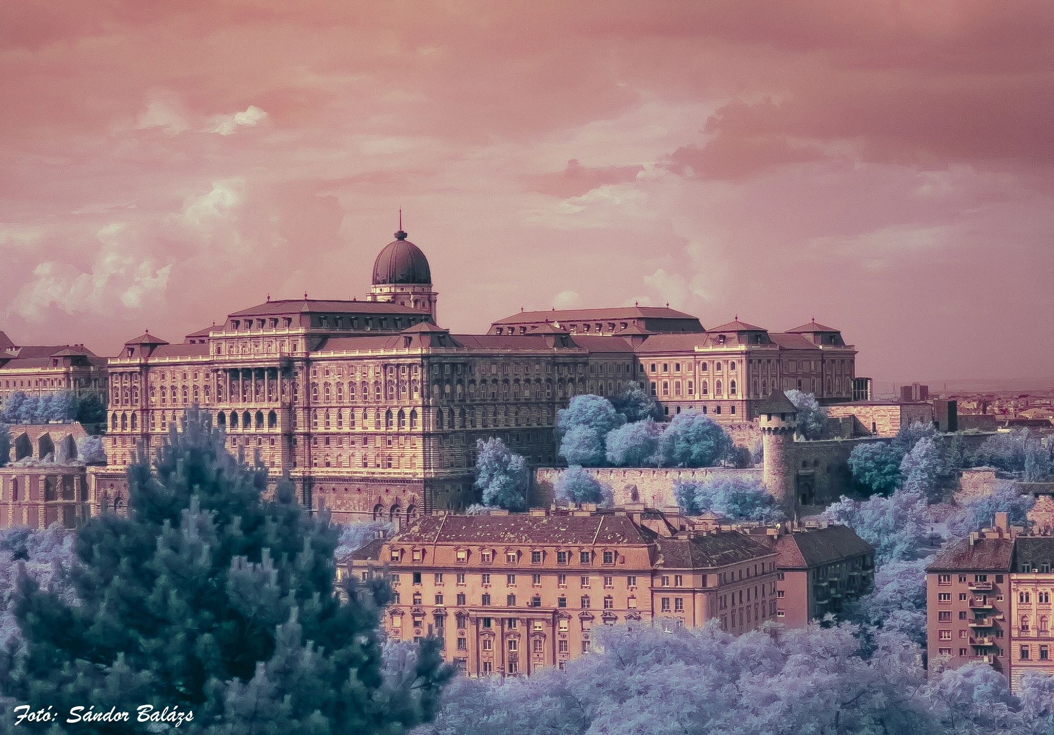 Nikon D40 sample photo. Buda castle infrared photography
