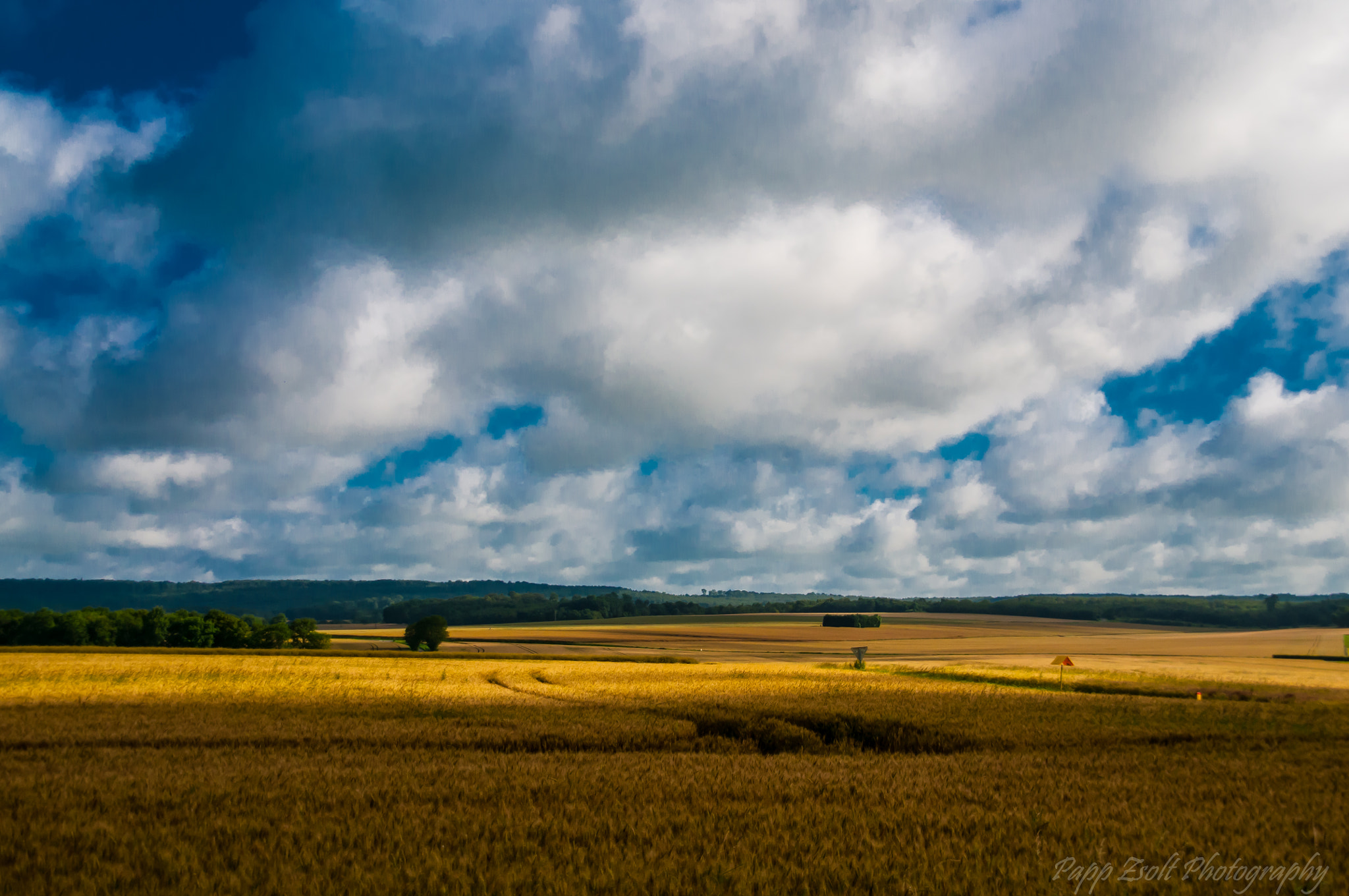 Nikon D300 + Sigma 18-200mm F3.5-6.3 DC sample photo. France field photography