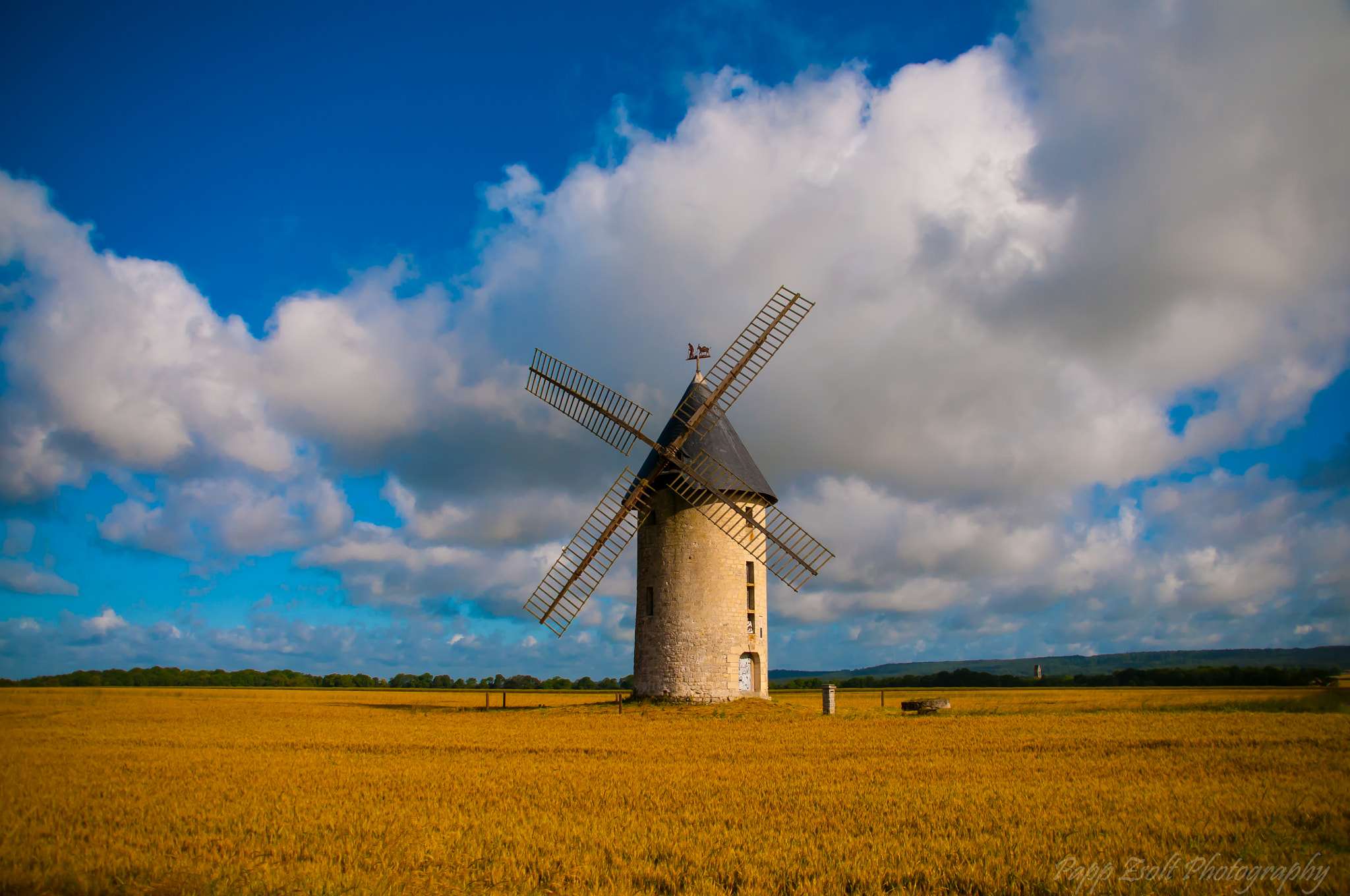 Nikon D300 + Sigma 18-200mm F3.5-6.3 DC sample photo. My favorite! photography