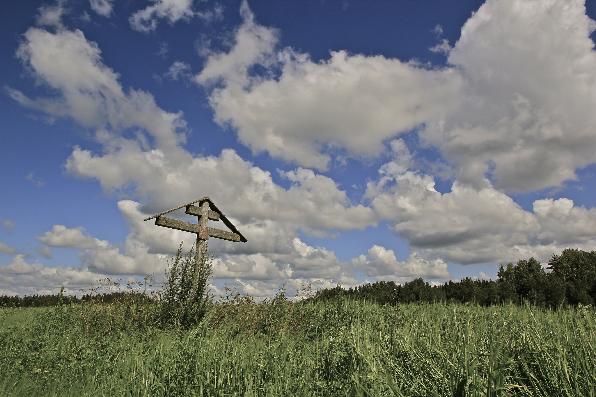 Canon EOS 550D (EOS Rebel T2i / EOS Kiss X4) sample photo. Russian rural scenery photography