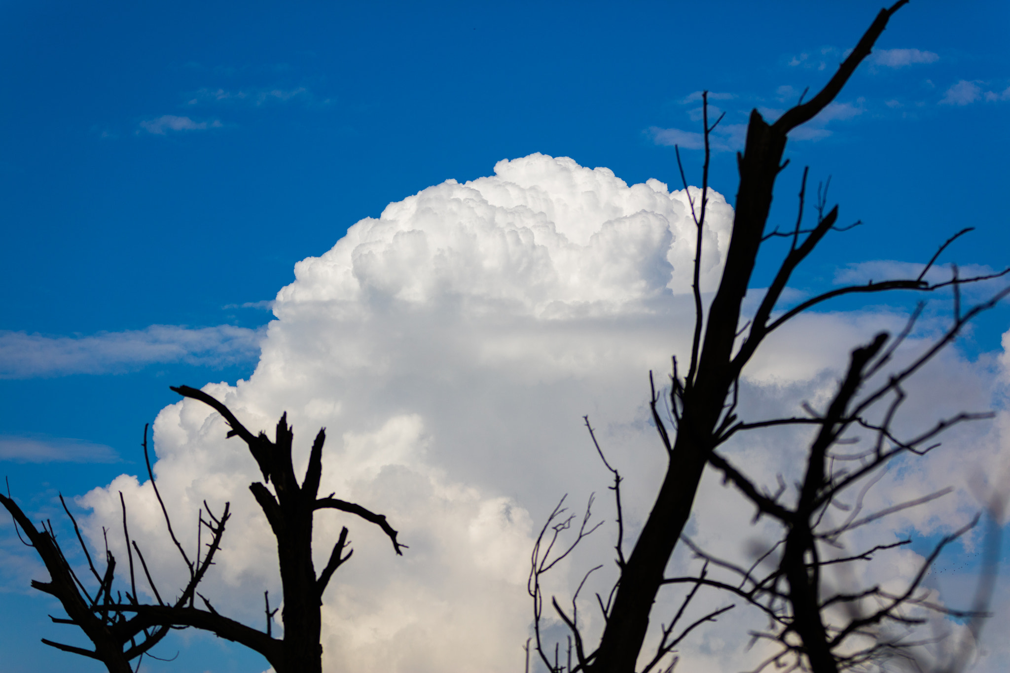 Canon EF 70-200mm F2.8L IS II USM sample photo. Cloud (u) photography
