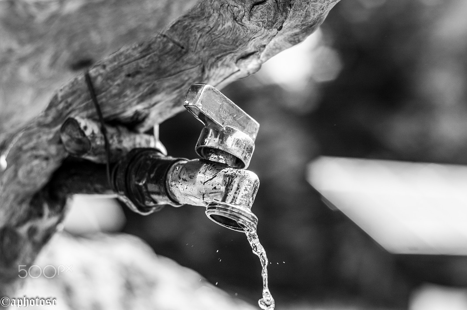 Nikon D70 + Nikon AF Nikkor 50mm F1.8D sample photo. Rubinetto black & white photography