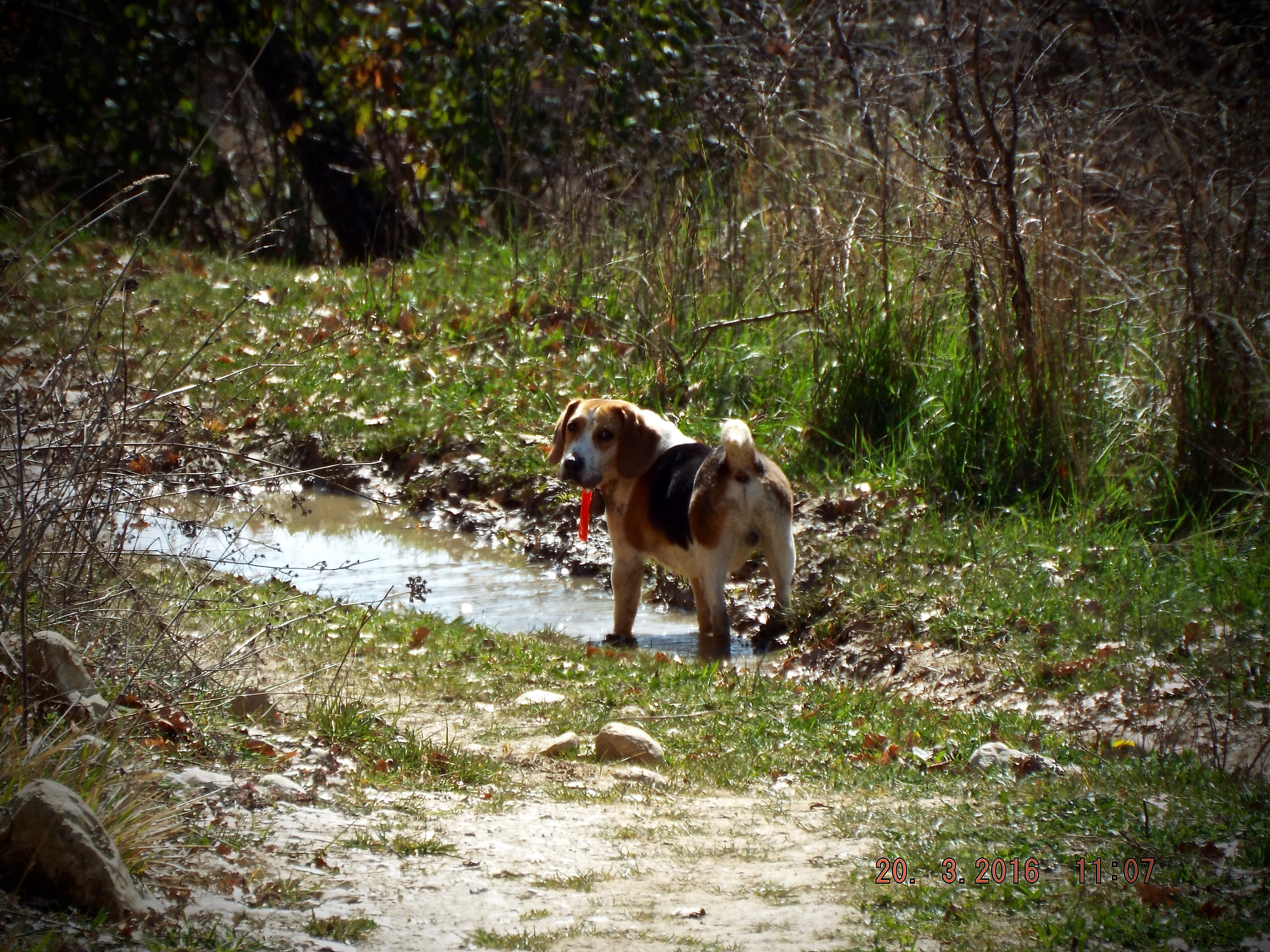 Fujifilm FinePix S9800 sample photo. Varie photography