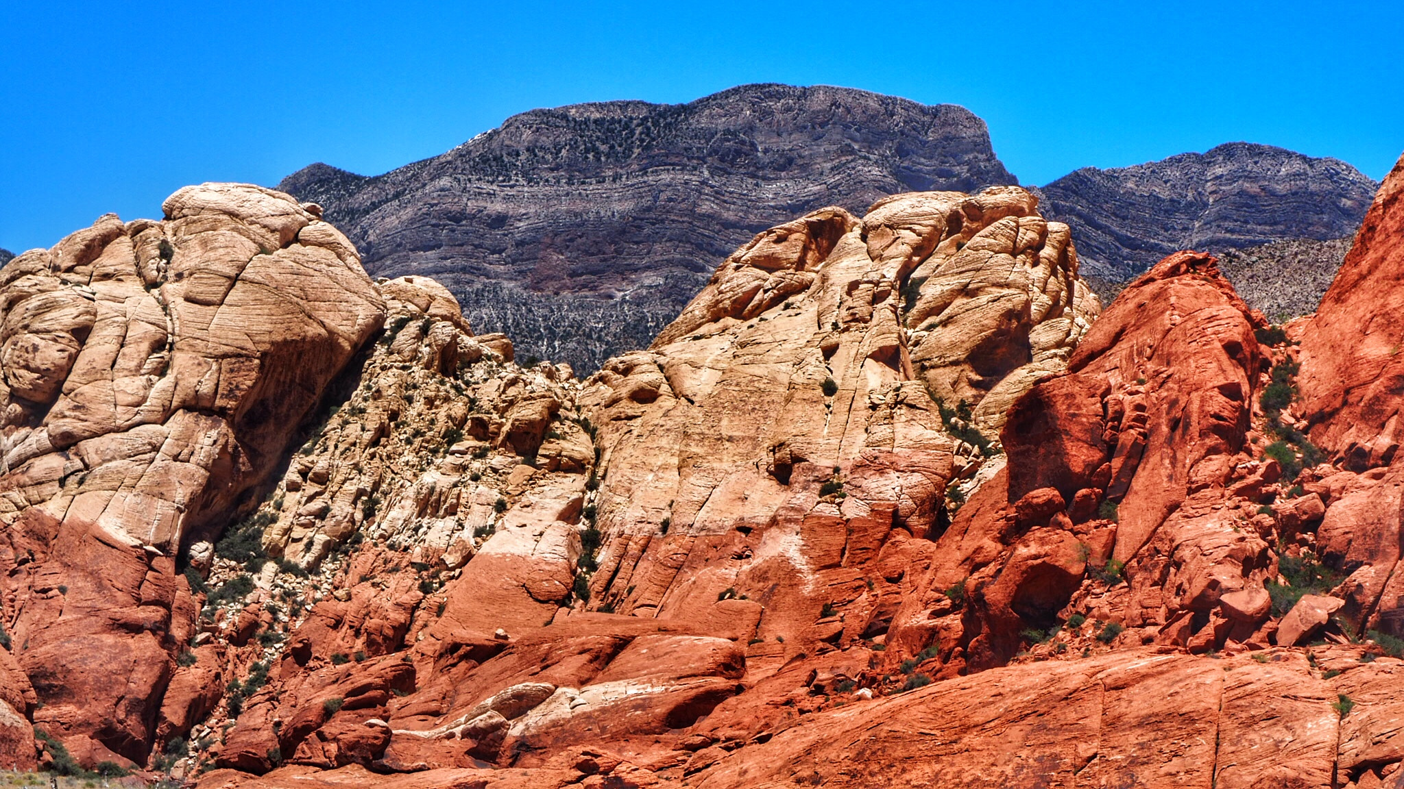 OLYMPUS M.12-50mm F3.5-6.3 sample photo. Las vegas photography