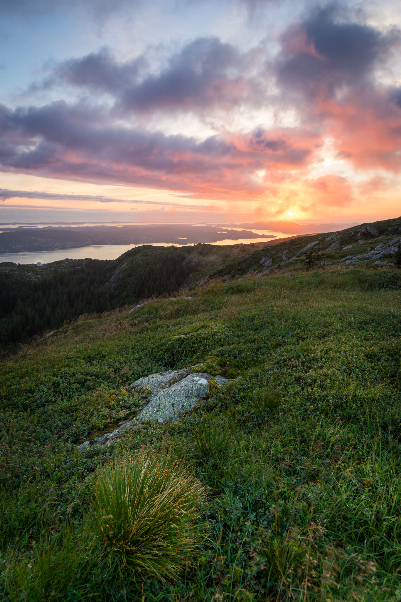 Sony a7 II + Canon EF 24-105mm F4L IS USM sample photo. Summer evening photography