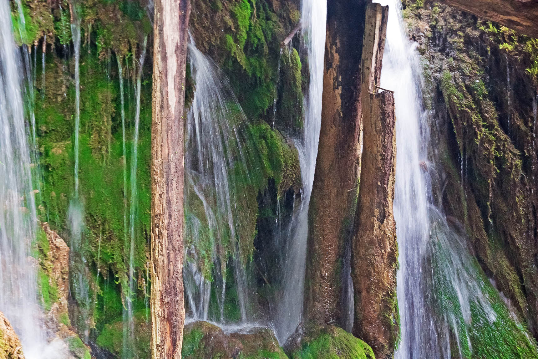 Canon EOS 450D (EOS Rebel XSi / EOS Kiss X2) sample photo. Croatia: plitvice lakes photography
