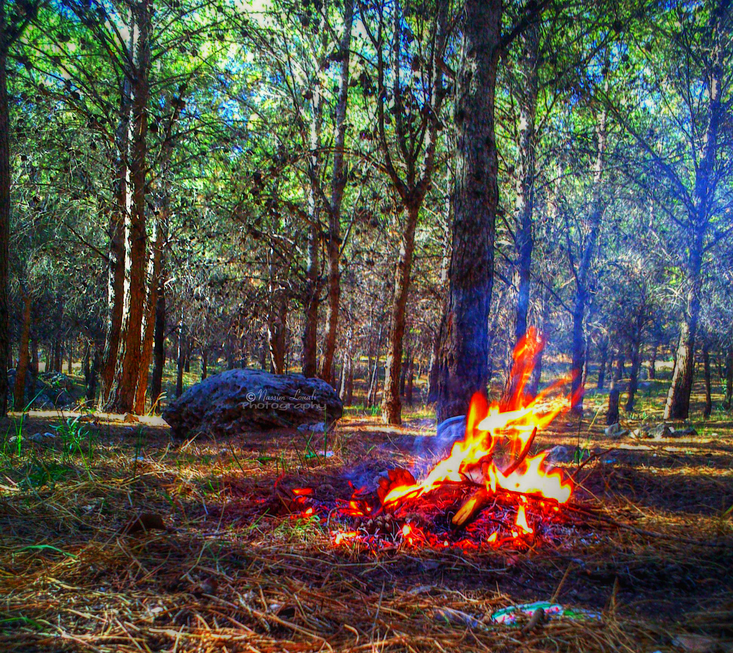 Sony Ericsson Xperia Go sample photo. No fire !!! please photography