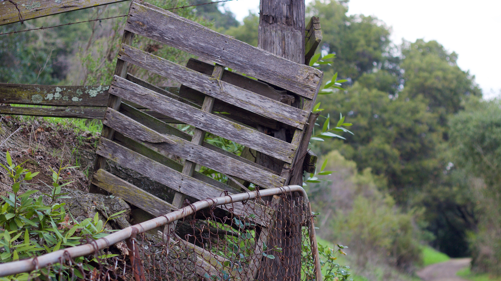 Canon EOS M + Canon EF 50mm F1.8 II sample photo. Abandoned photography