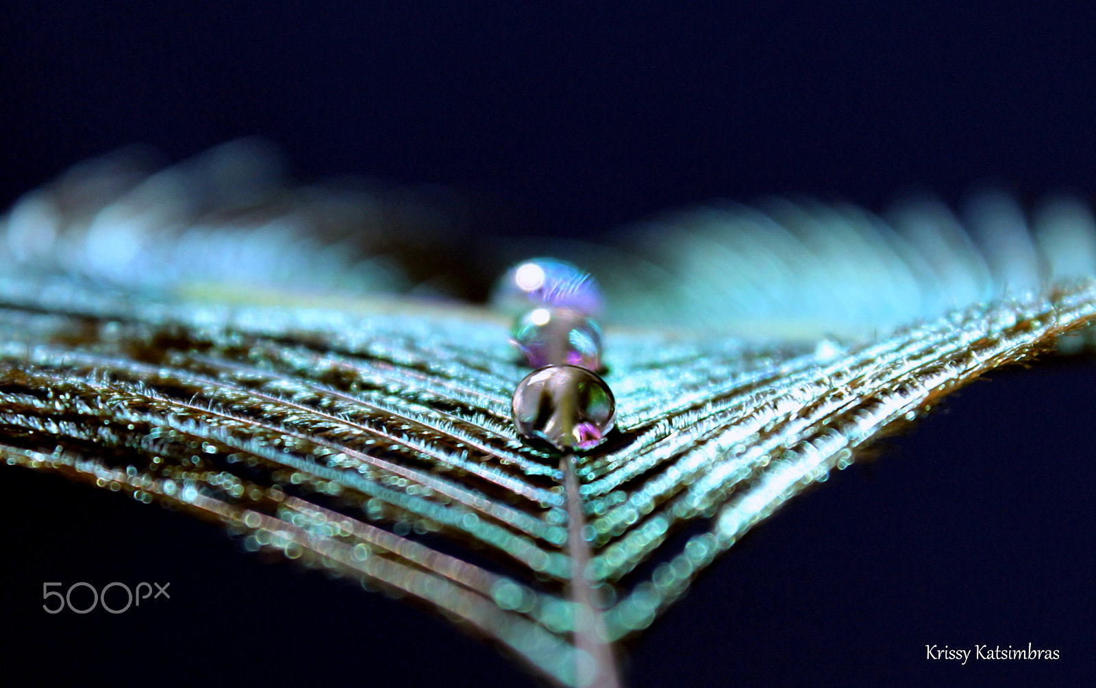 Canon EOS 60D + Canon EF-S 18-55mm F3.5-5.6 IS II sample photo. Fantasy flight photography