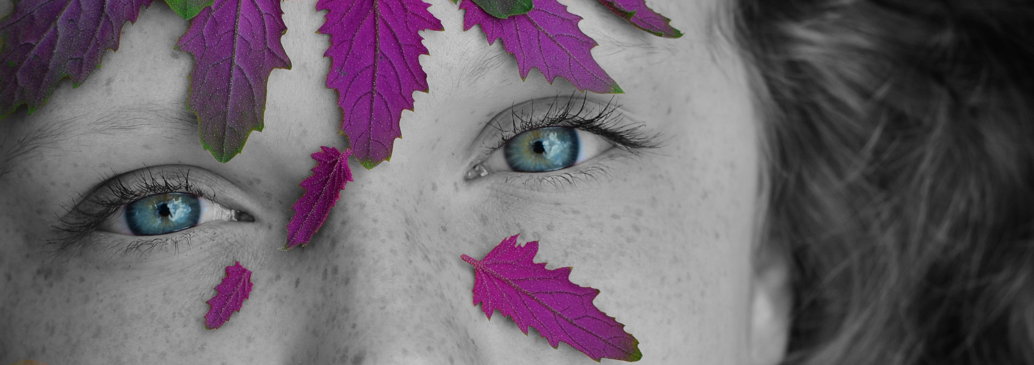 Manual Lens No CPU sample photo. Pink leaves photography