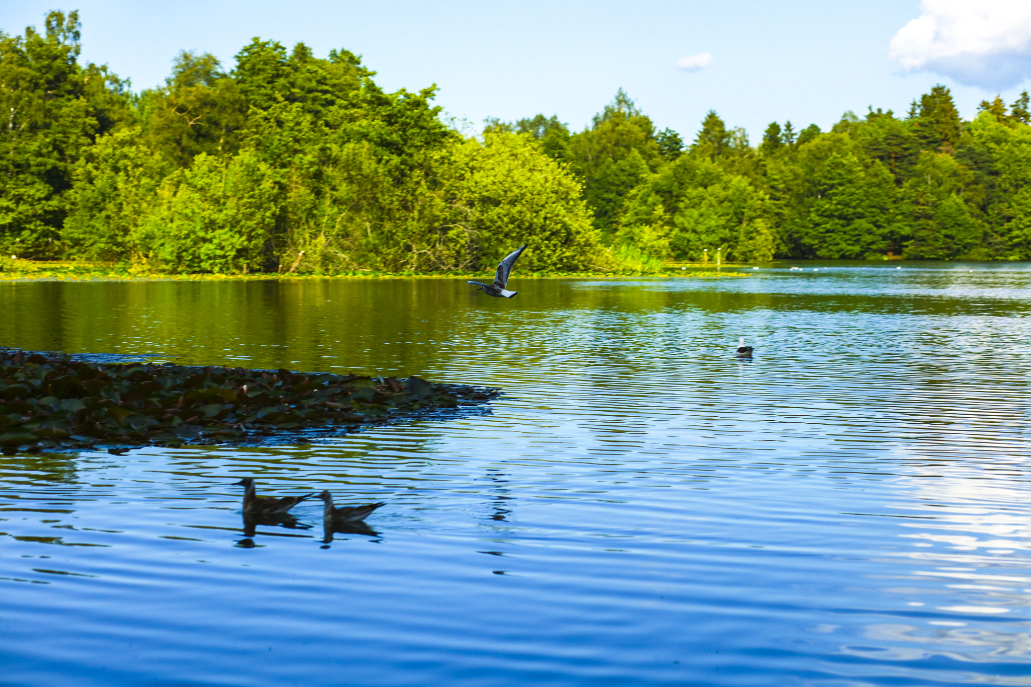 Canon EOS 5DS + Canon EF 85mm F1.8 USM sample photo. 073a0040.jpg photography