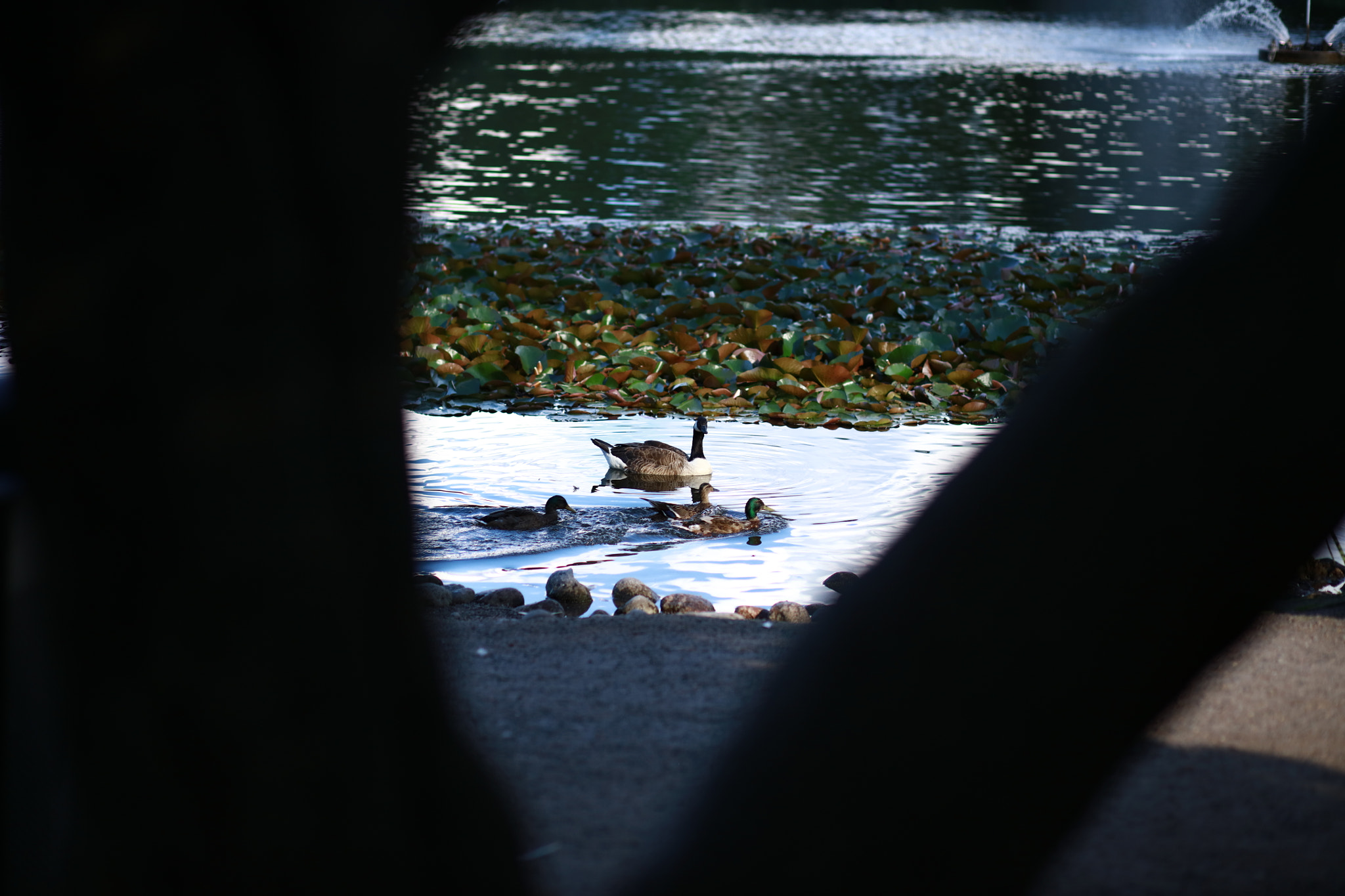 Canon EOS 5DS + Canon EF 85mm F1.8 USM sample photo. 073a0001.jpg photography