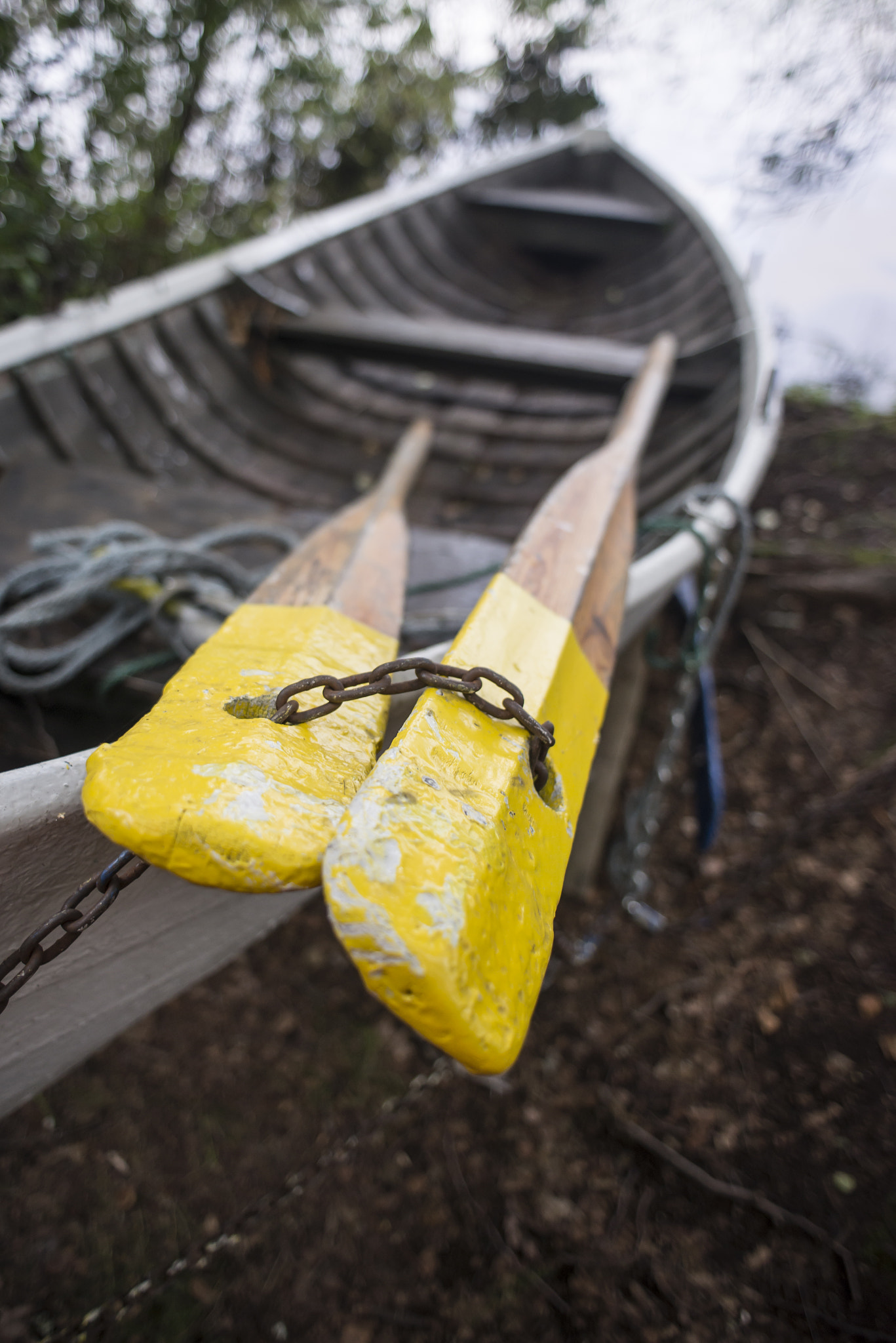 Nikon D610 + Nikon AF Nikkor 24mm F2.8D sample photo. Boat and oars photography