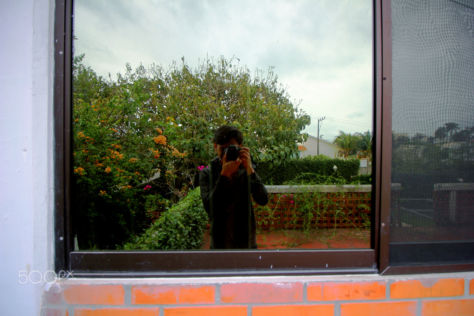Canon EOS 550D (EOS Rebel T2i / EOS Kiss X4) sample photo. Picture me photography