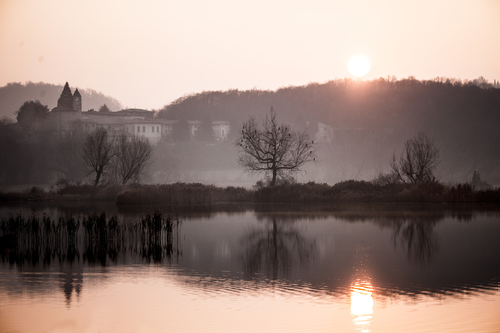 Sigma 150-600mm F5-6.3 DG OS HSM | S sample photo. Torbiere del sebino photography