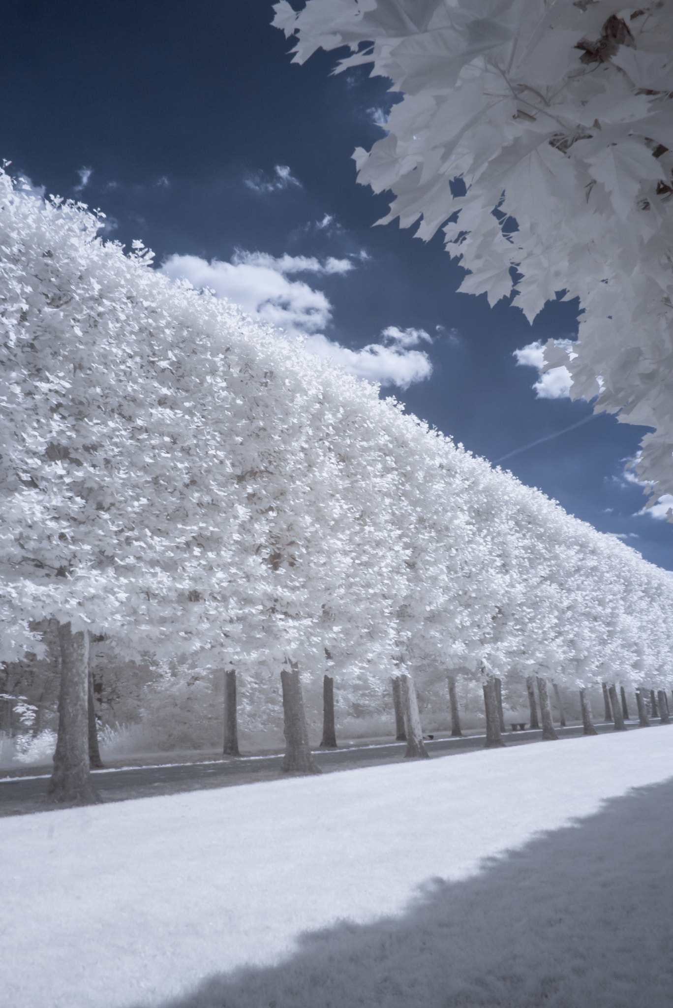 Panasonic Lumix DMC-GF1 sample photo. Sceaux park (paris) photography
