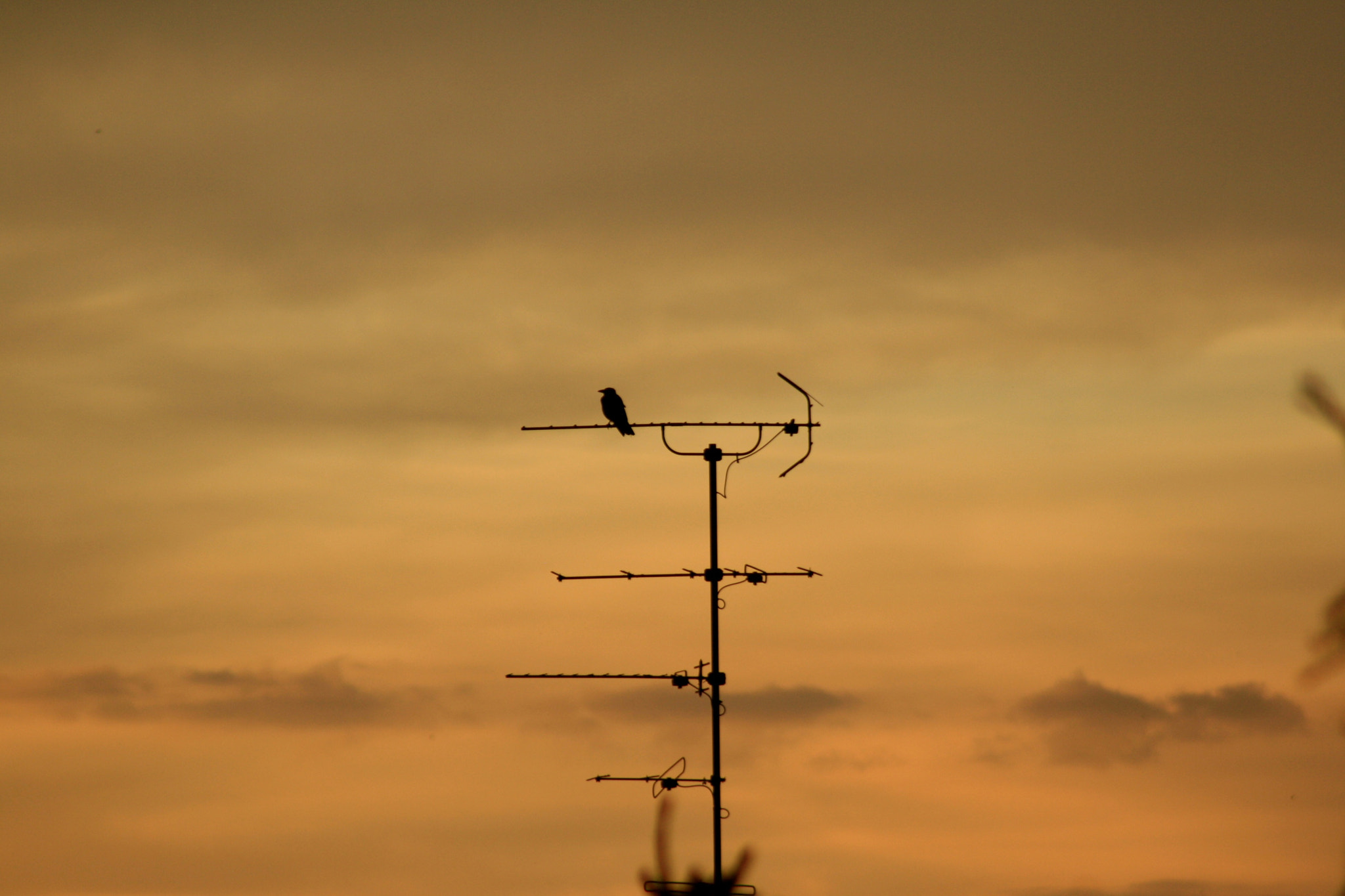 Canon EF 75-300mm f/4-5.6 USM sample photo. Berlin - weißensee photography