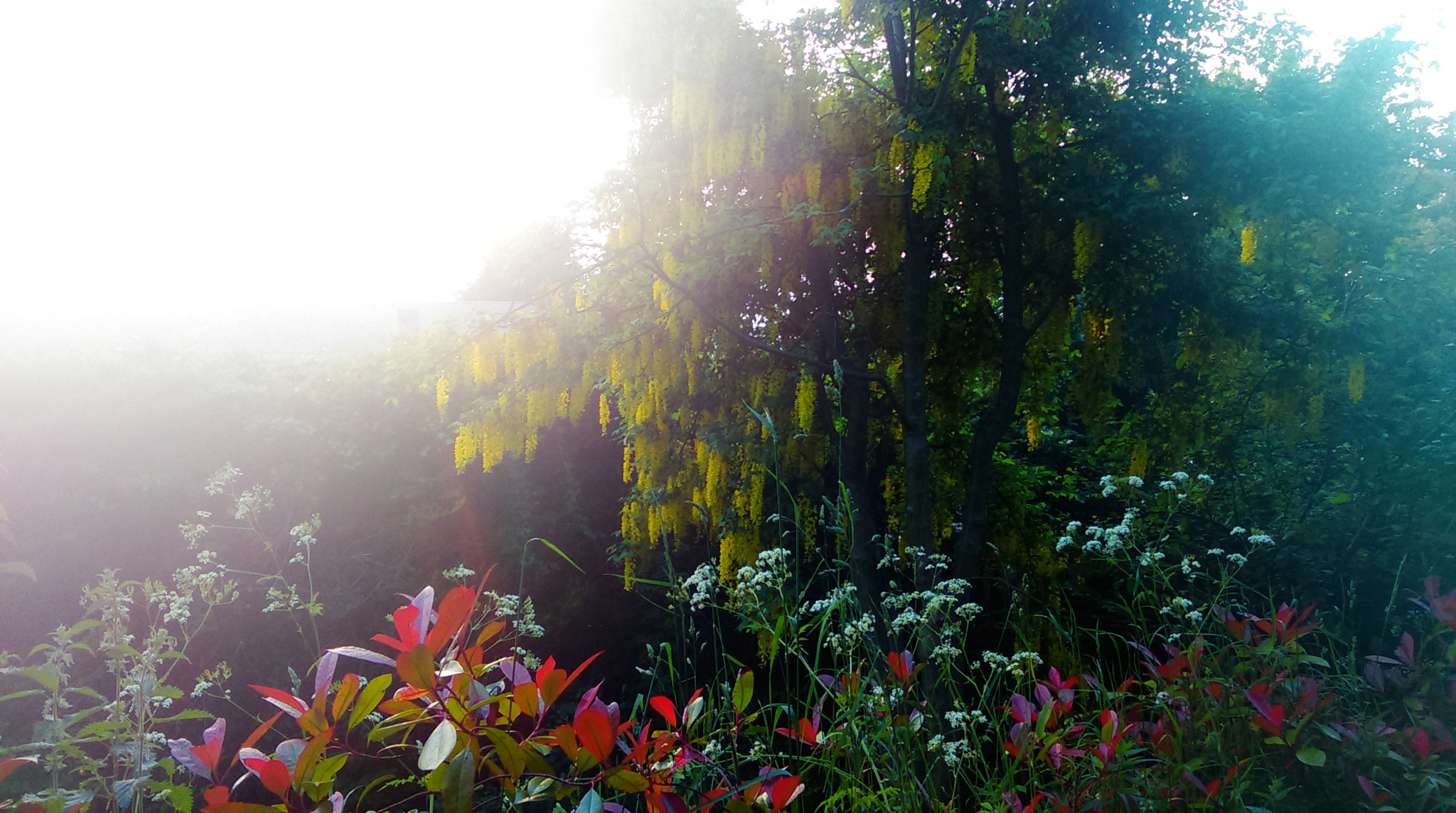 HTC DESIRE 610 sample photo. Tring, hertfordshire photography