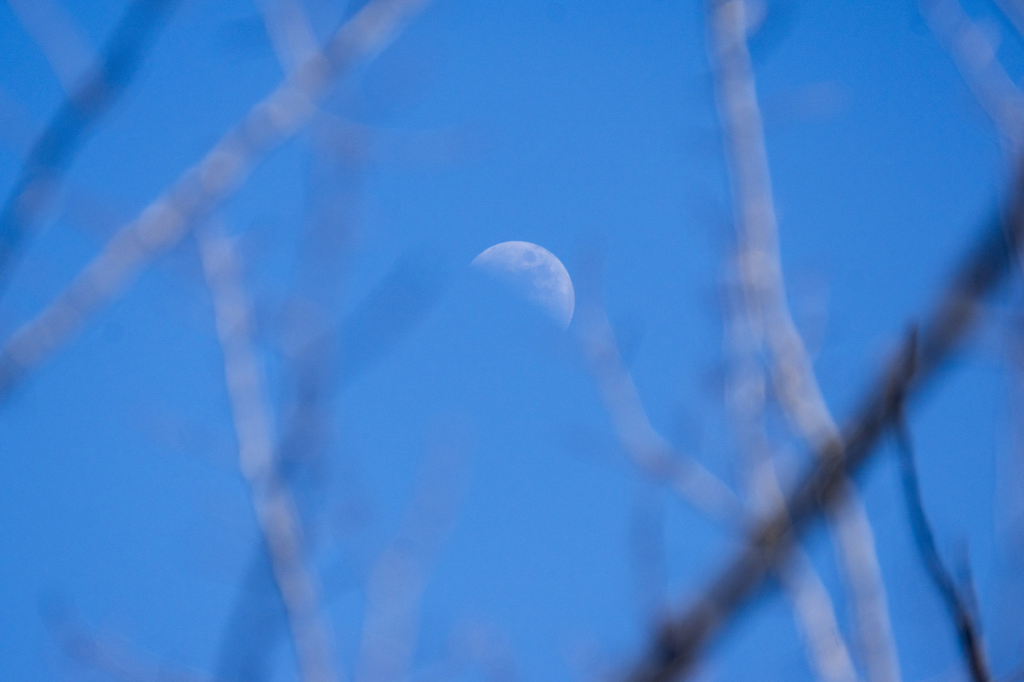 Sony 70-300mm F4.5-5.6 G SSM sample photo. Luna photography