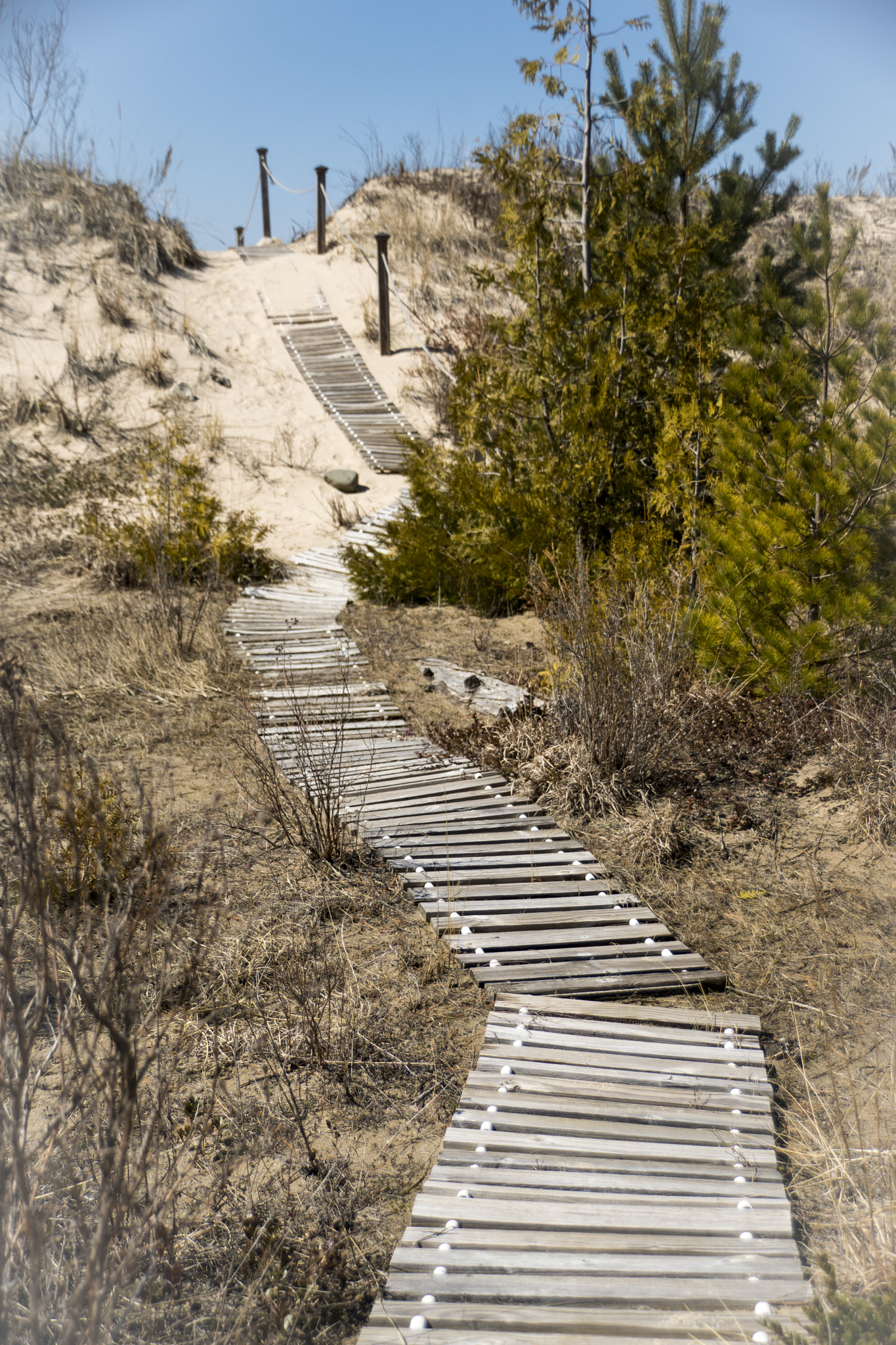 Sony DT 18-250mm F3.5-6.3 sample photo. The path photography
