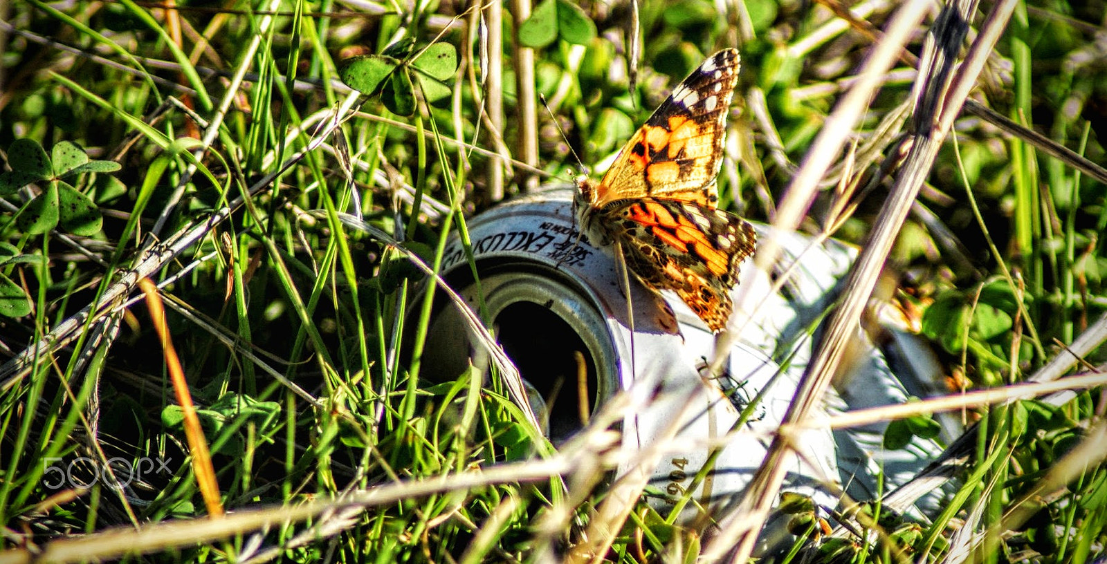 Sony Alpha DSLR-A200 + Tamron Lens (255) sample photo. Irony photography