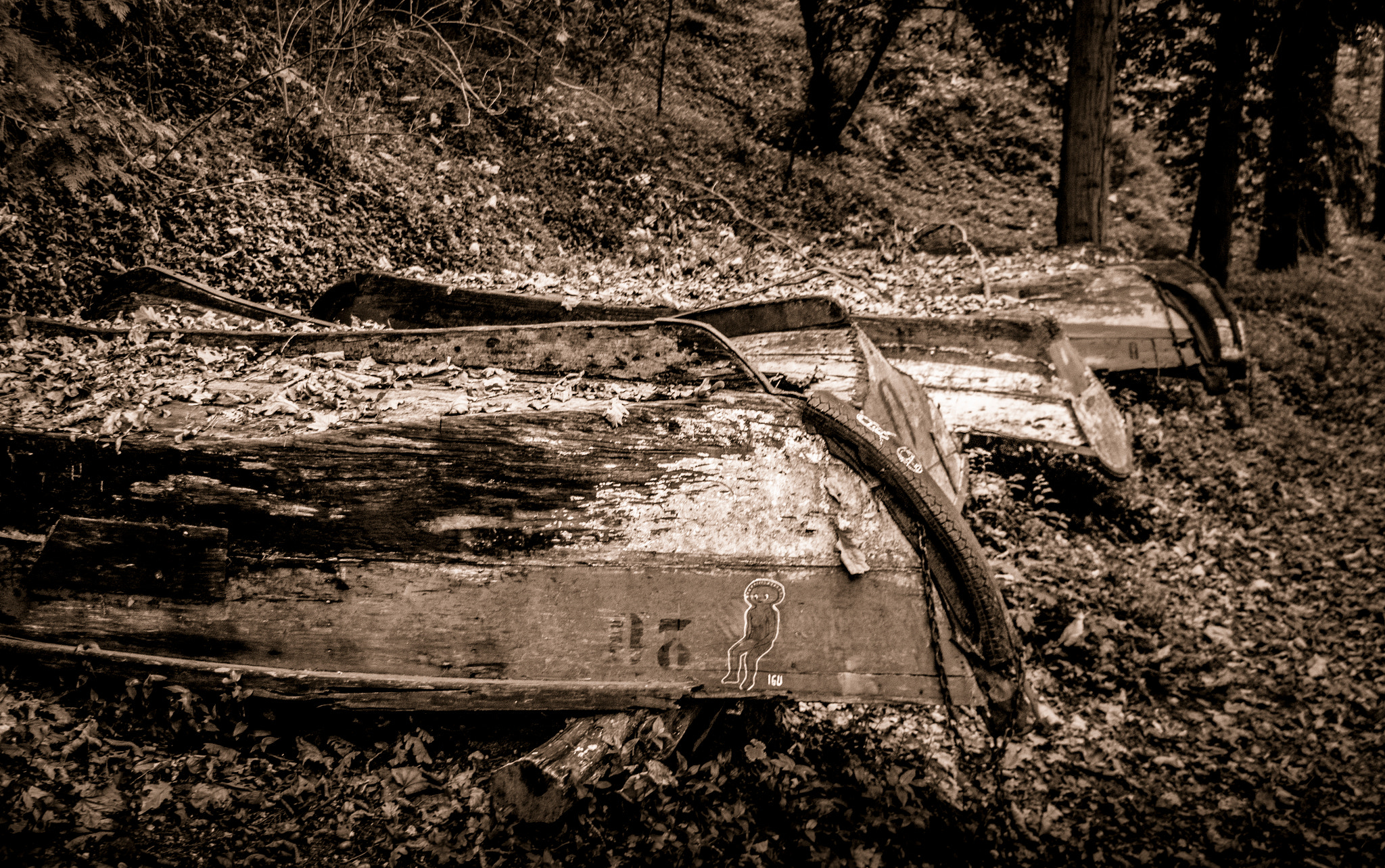 Samsung NX300M + Samsung NX 18-55mm F3.5-5.6 OIS sample photo. Forgoten in the woods photography