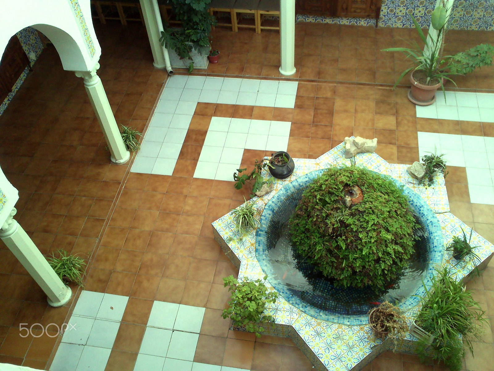 Sony Xperia U sample photo. Waw photography