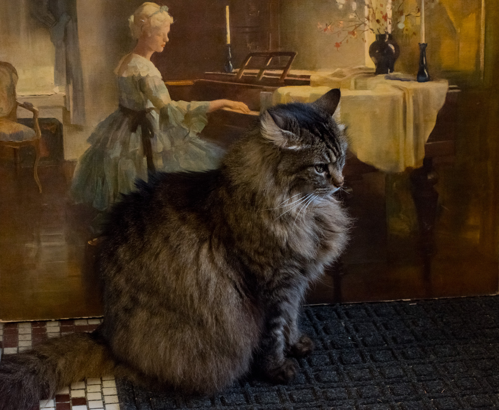 Pentax K-1 + Pentax smc DA* 55mm F1.4 SDM sample photo. Antique shop cat photography