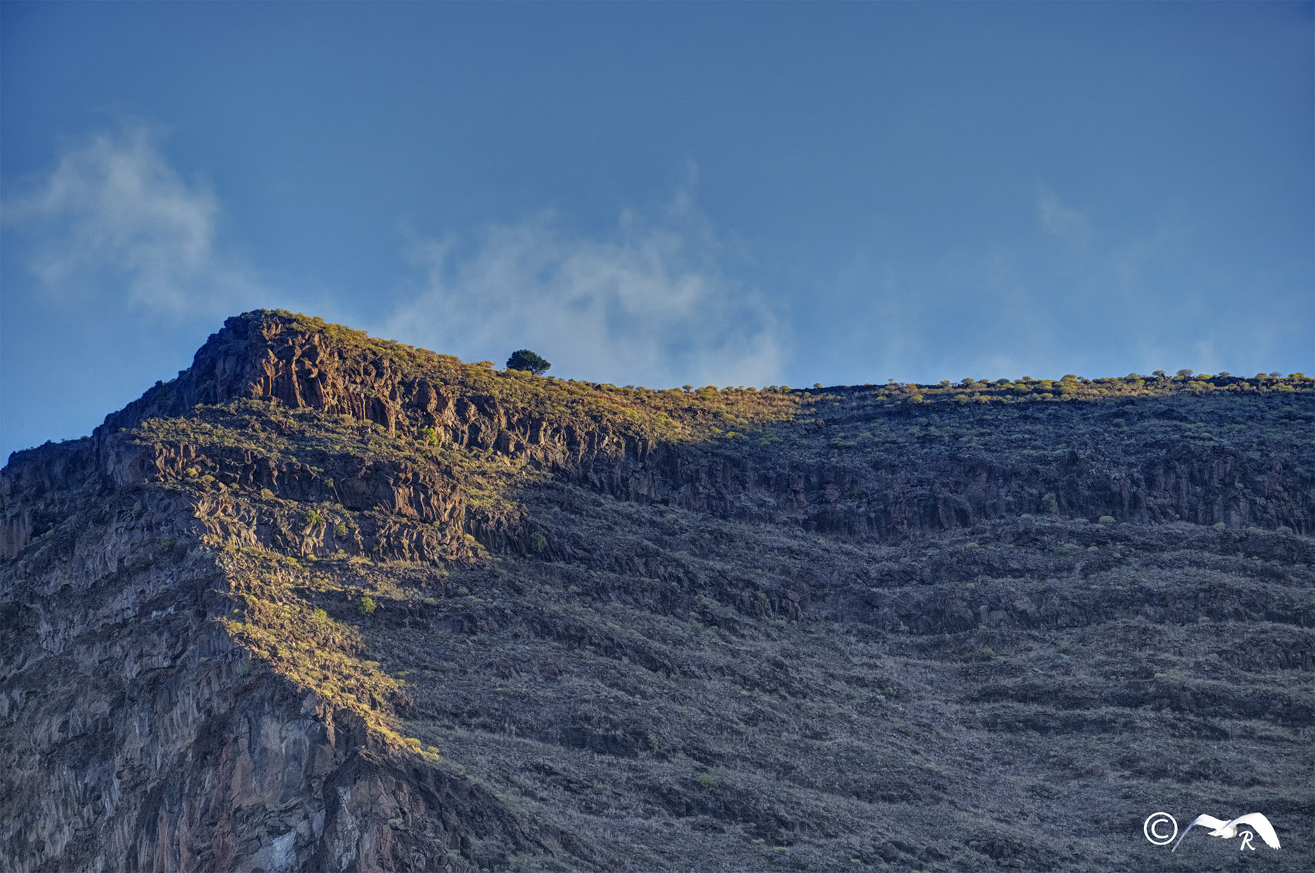 Fujifilm X-E1 + Fujifilm XC 50-230mm F4.5-6.7 OIS sample photo. Lonely photography